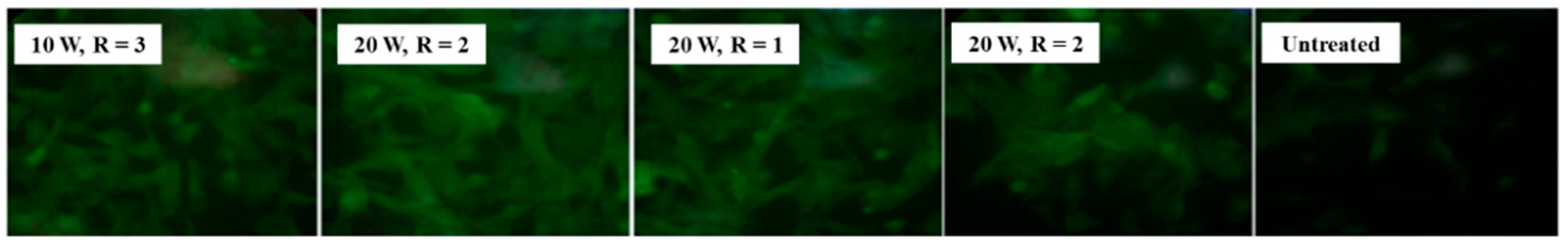 Polymers 17 02856 g023