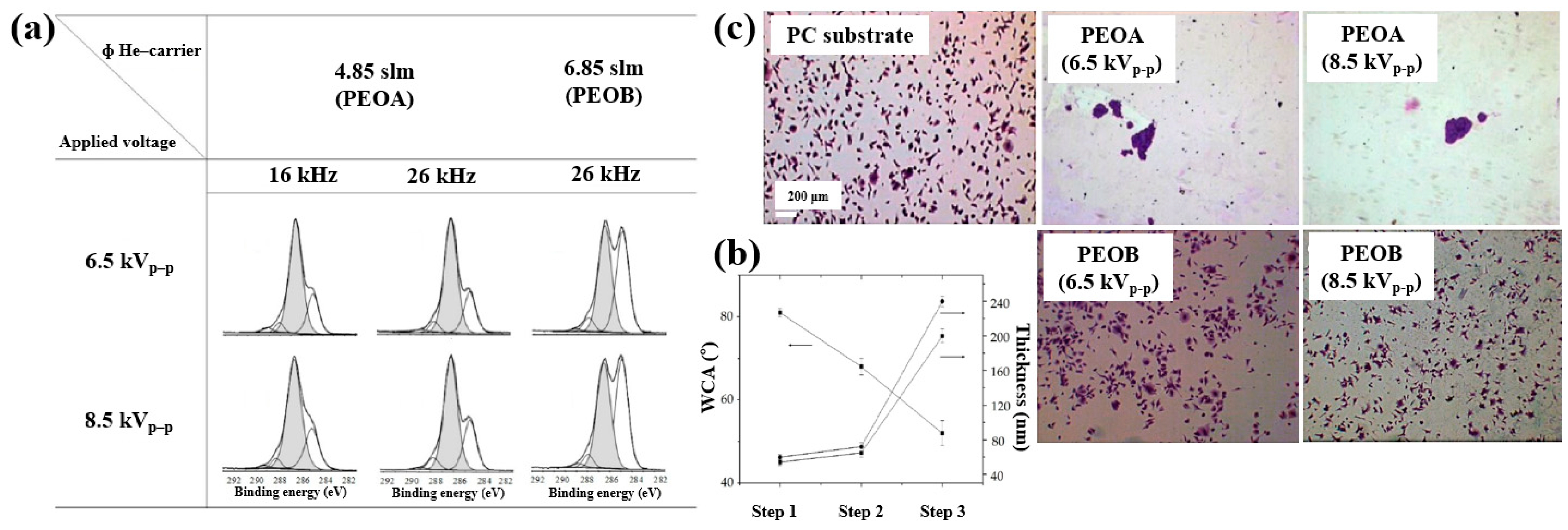 Polymers 17 02856 g029