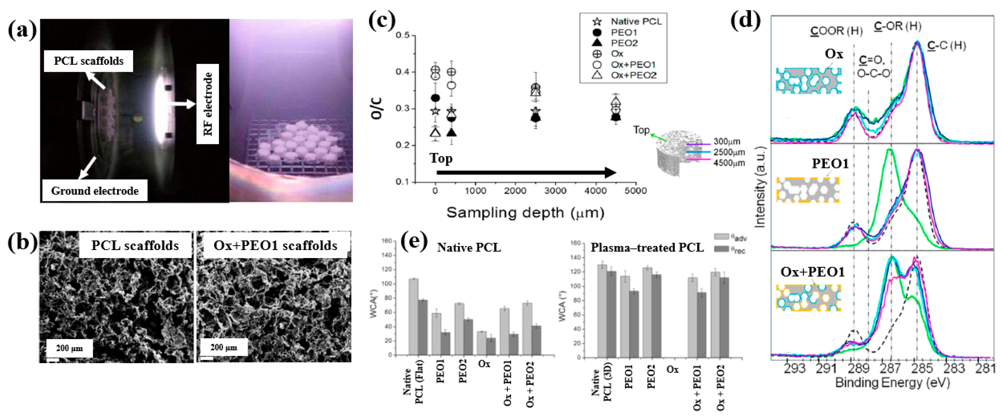 Polymers 17 02856 g030