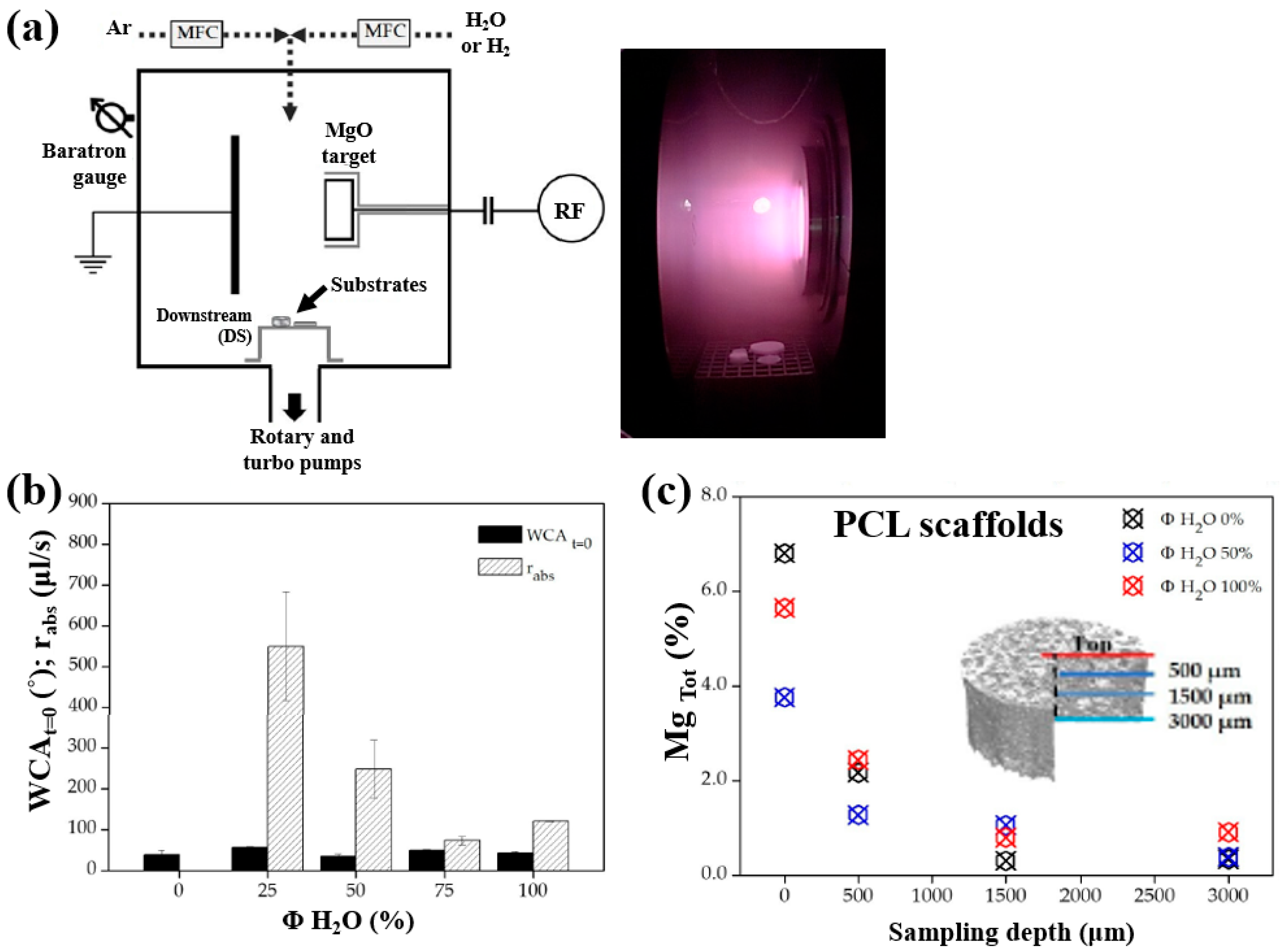 Polymers 17 02856 g032