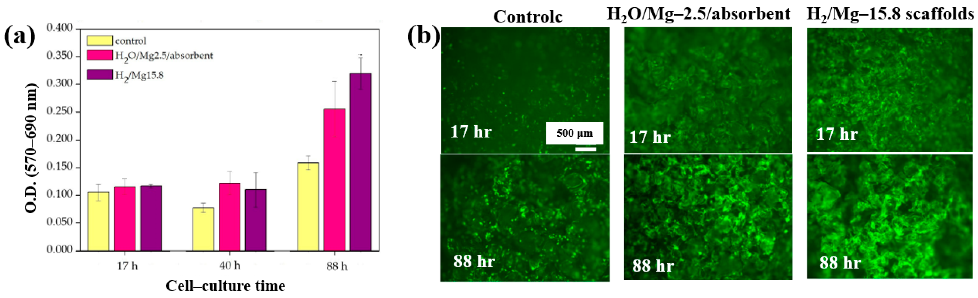 Polymers 17 02856 g033