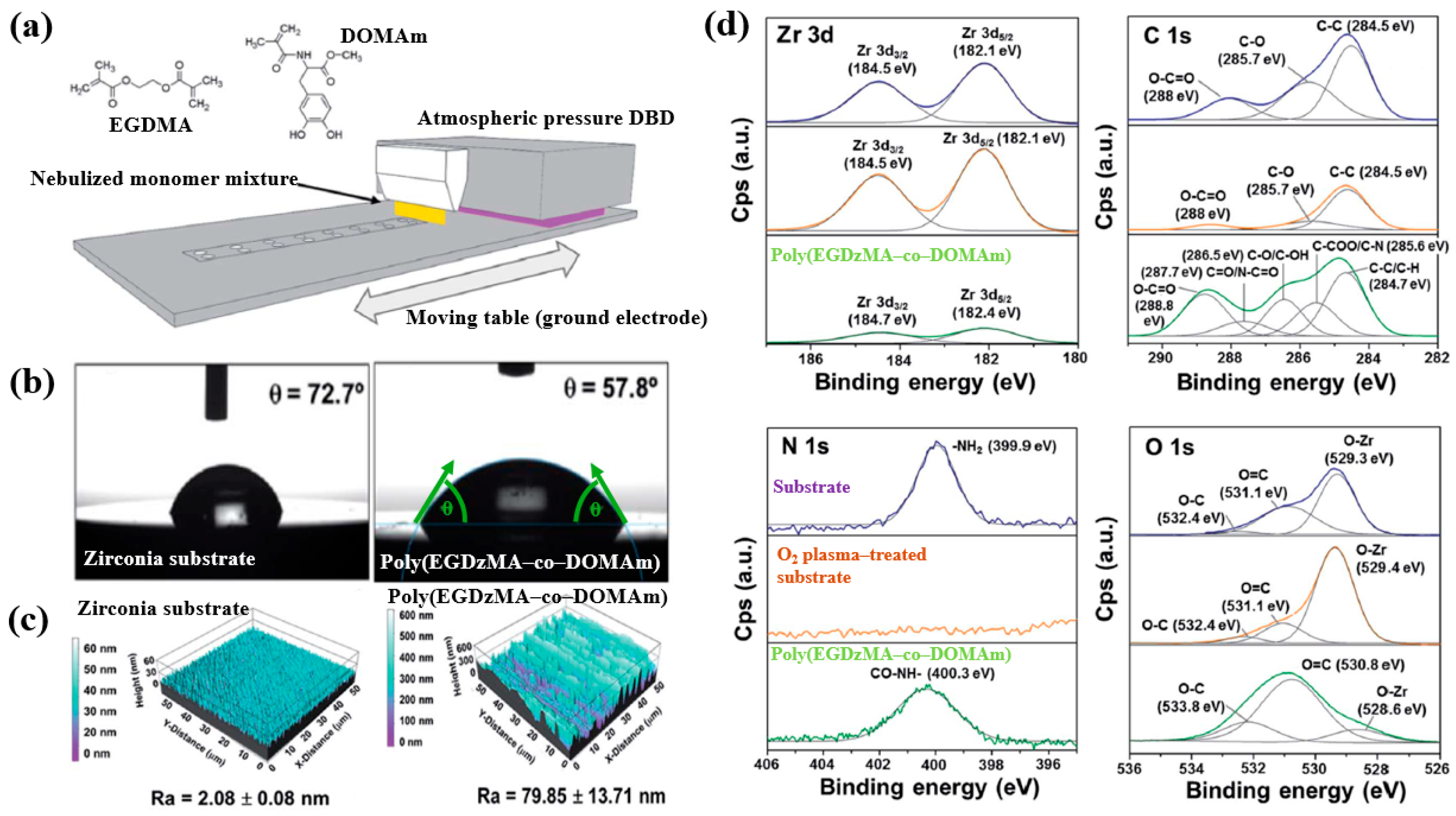 Polymers 17 02856 g034