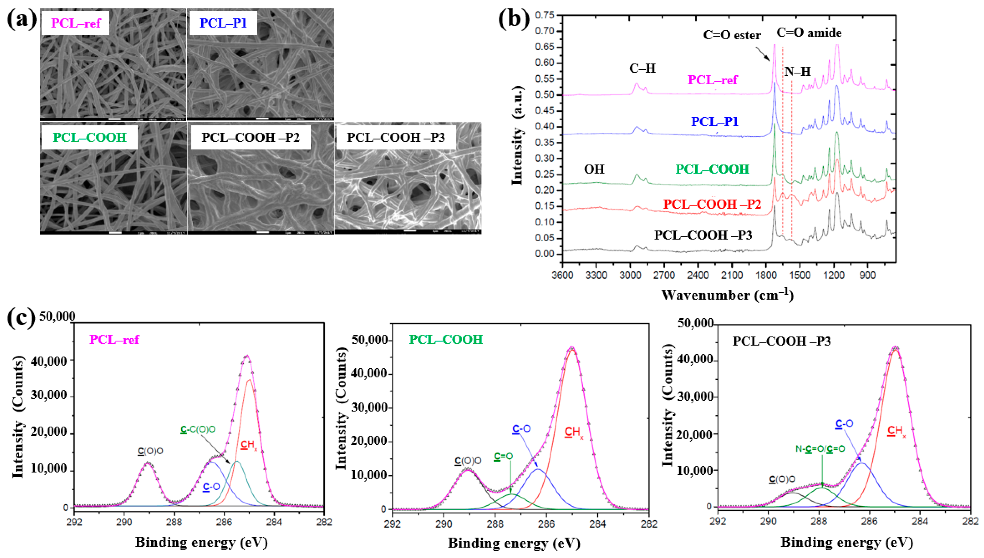 Polymers 17 02856 g036