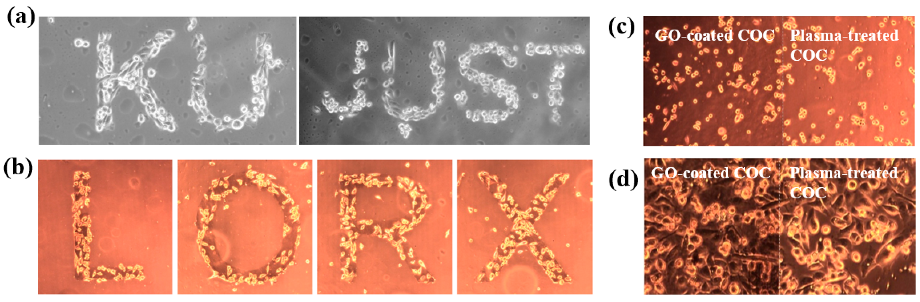 Polymers 17 02856 g043