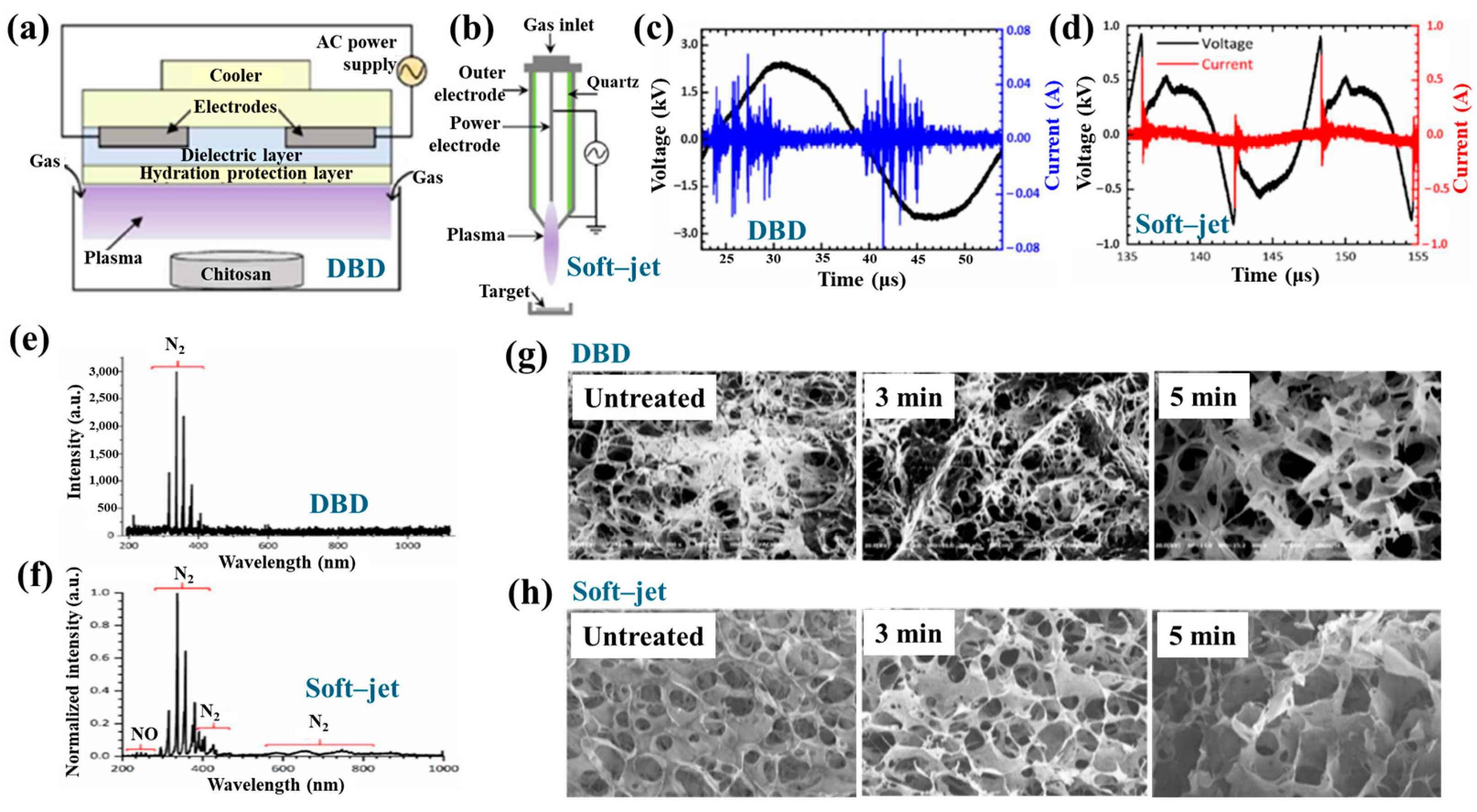 Polymers 17 02856 g044
