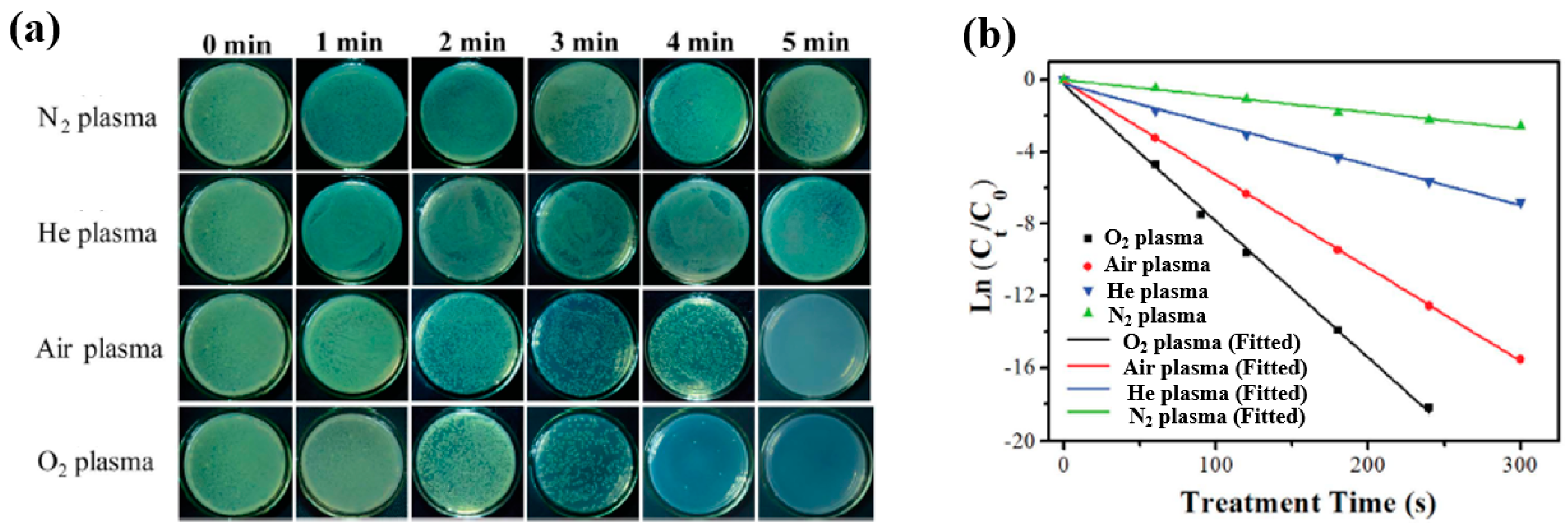 Polymers 17 02856 g059