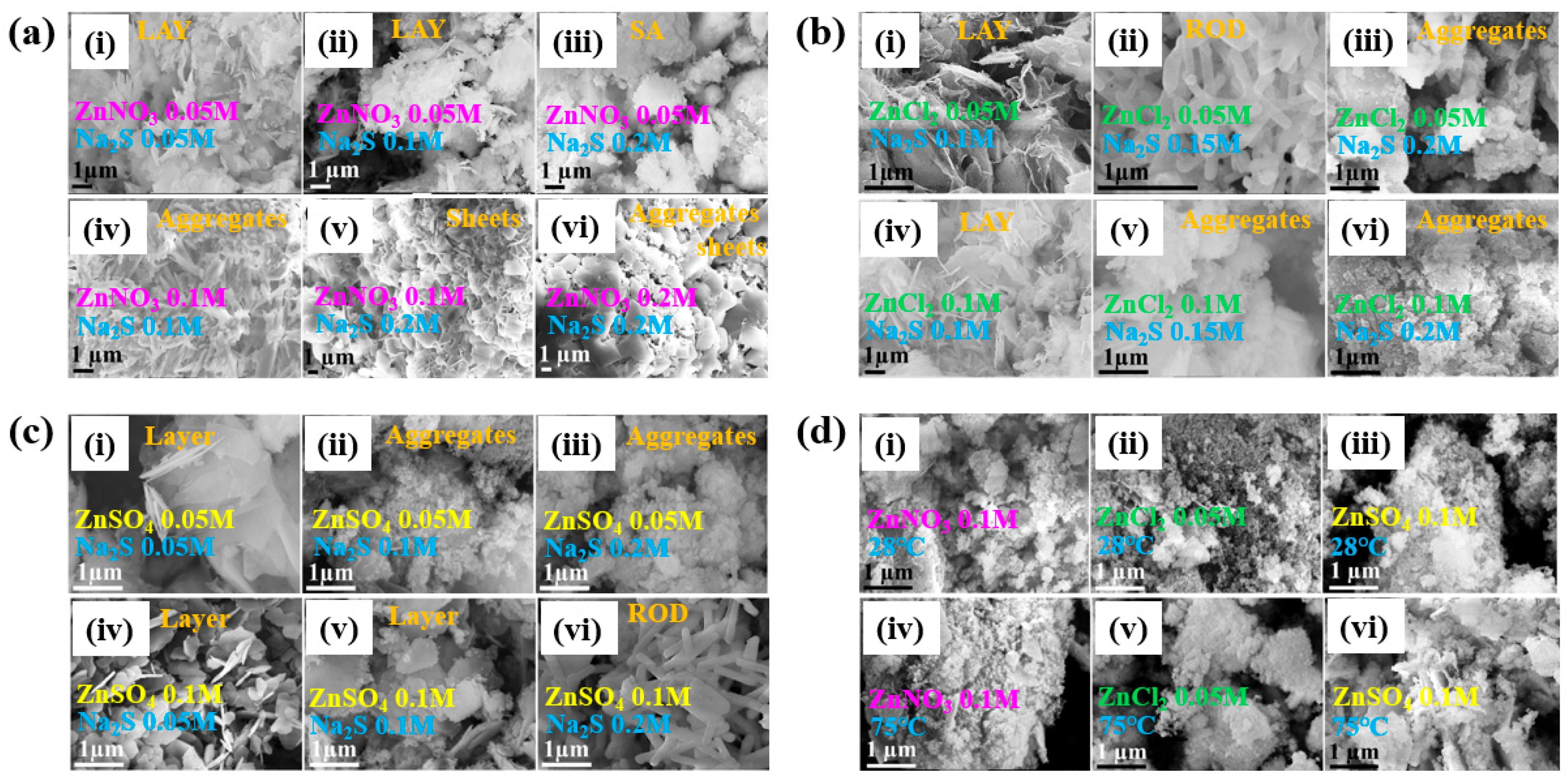 Polymers 17 02856 g060