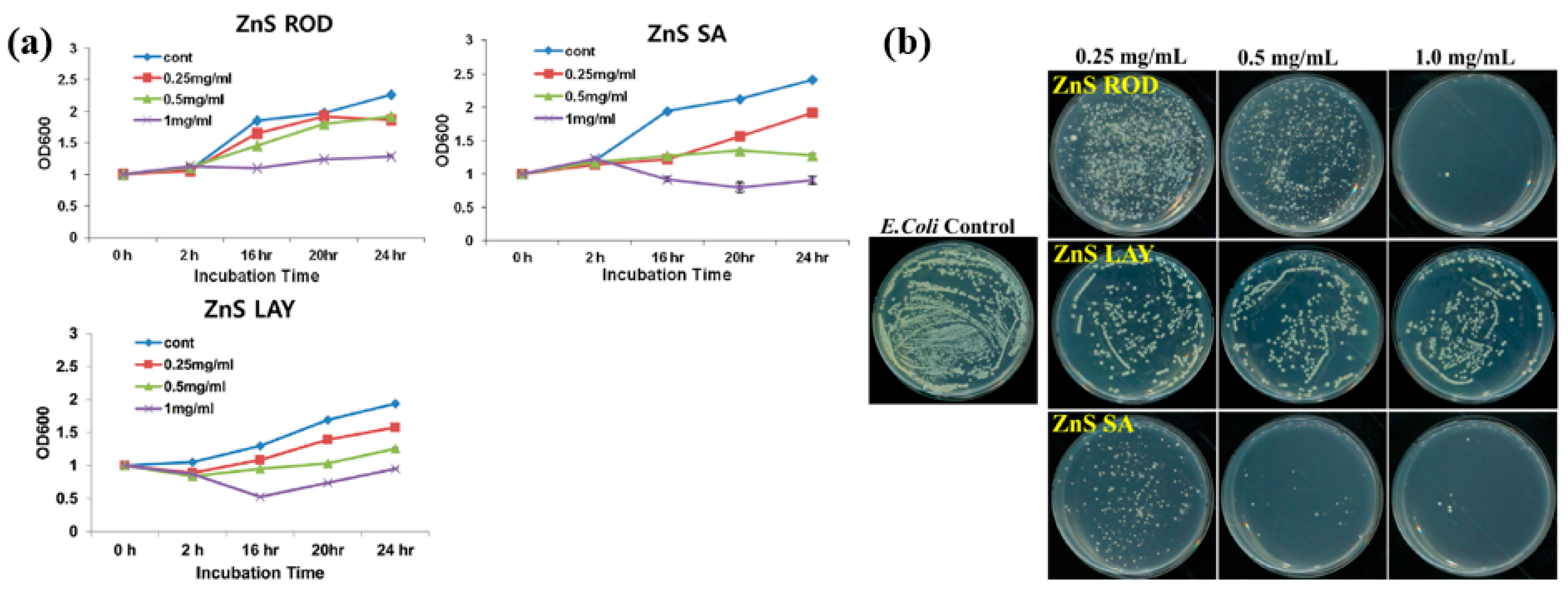 Polymers 17 02856 g061