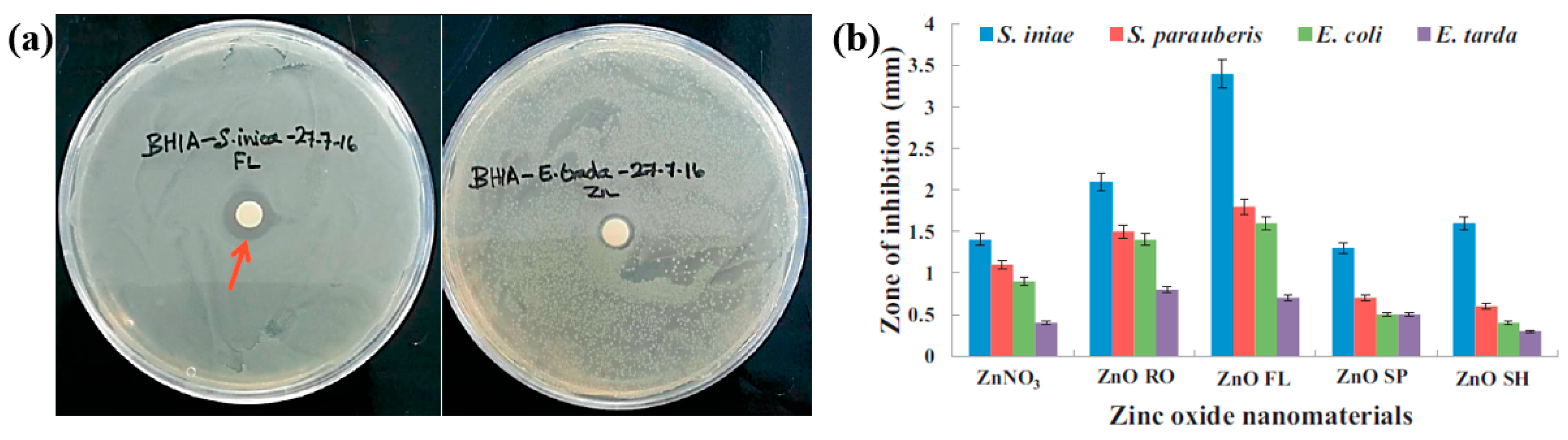 Polymers 17 02856 g063