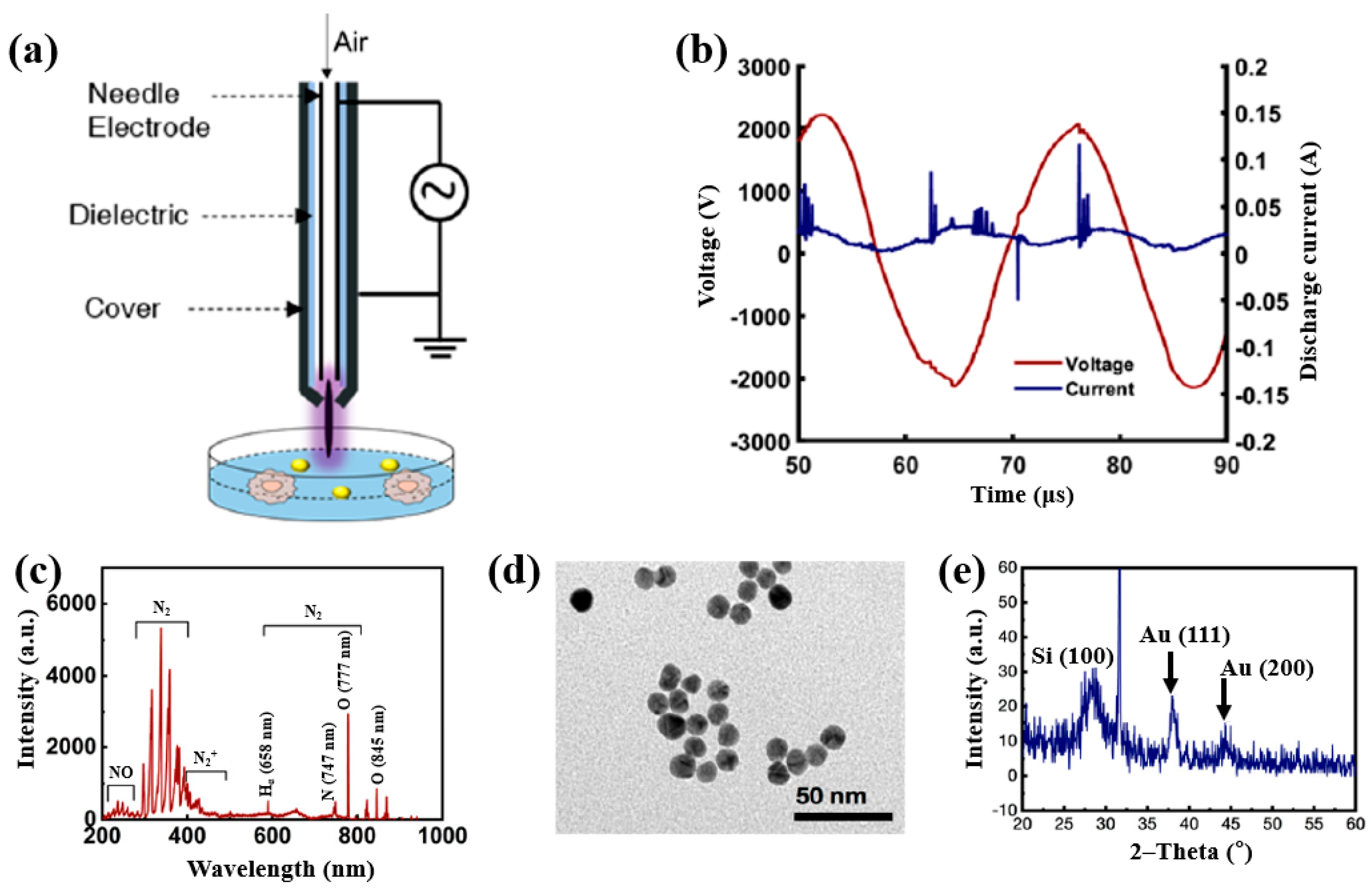 Polymers 17 02856 g064