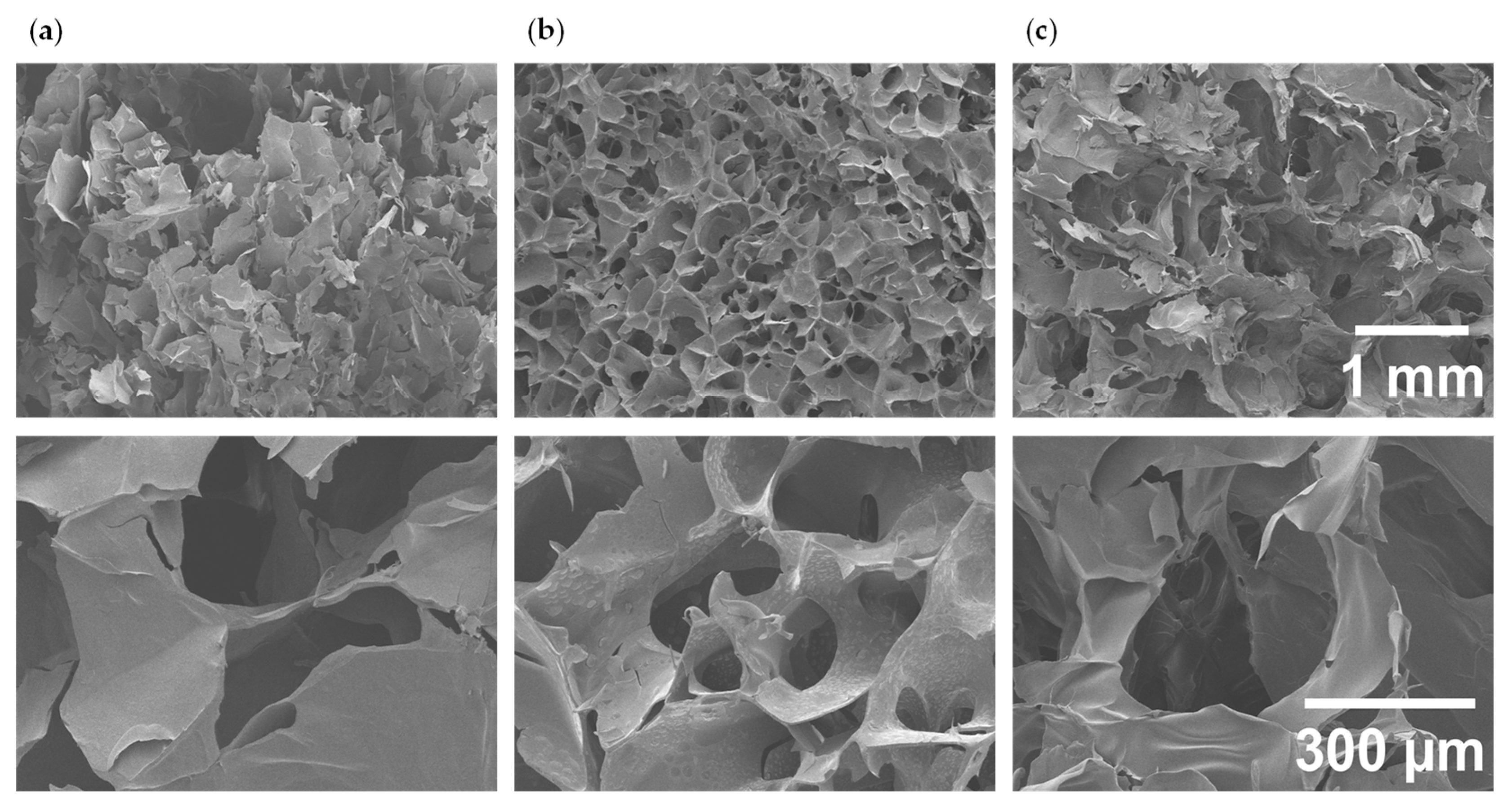 Polymers 17 02867 g002 Polymers 17 02867 g002