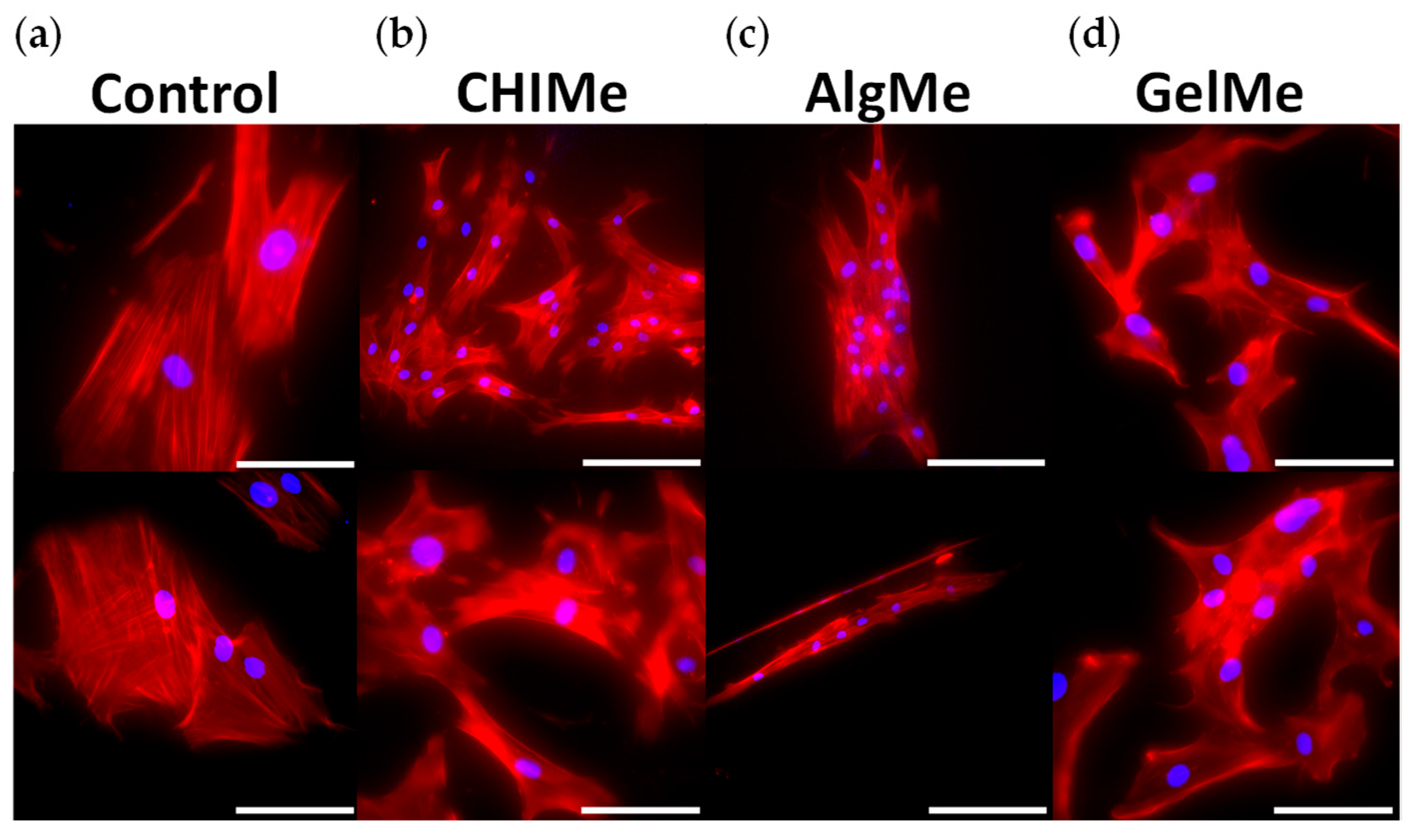 Polymers 17 02867 g006 Polymers 17 02867 g006