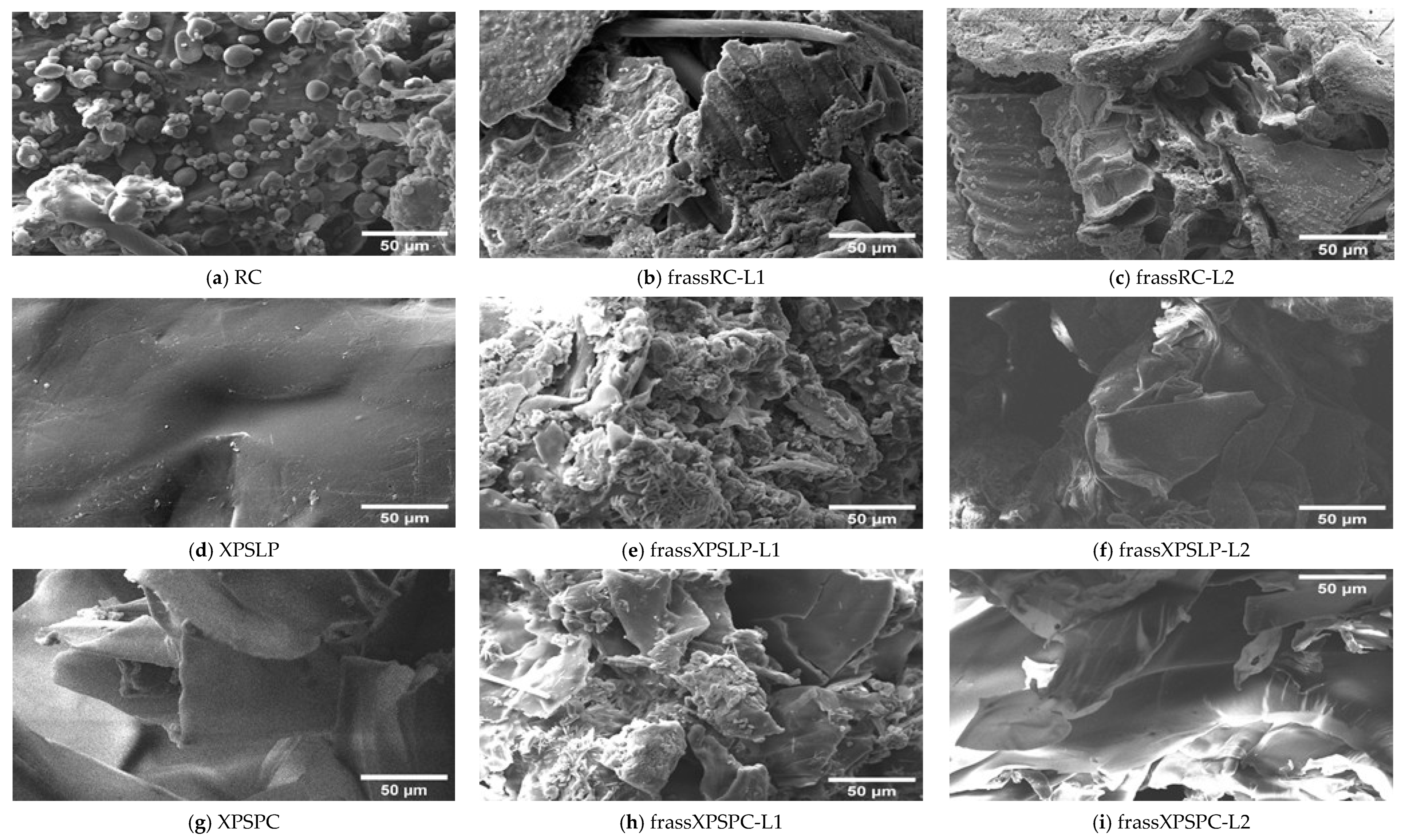 Polymers 17 02870 g003 Polymers 17 02870 g003