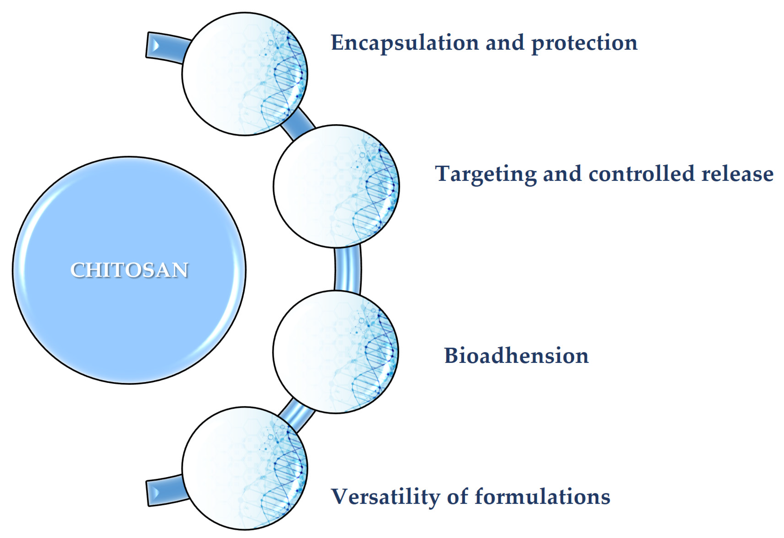 Polymers 17 02872 g002