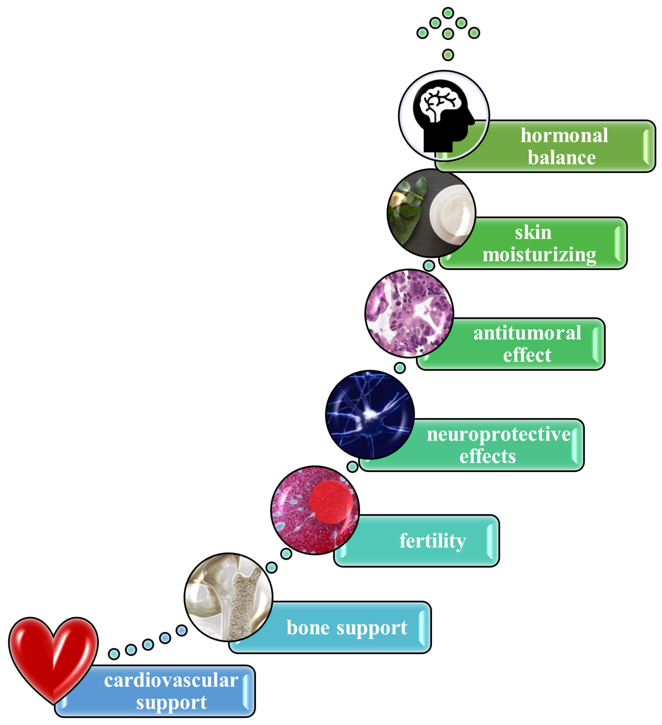 Polymers 17 02872 g005
