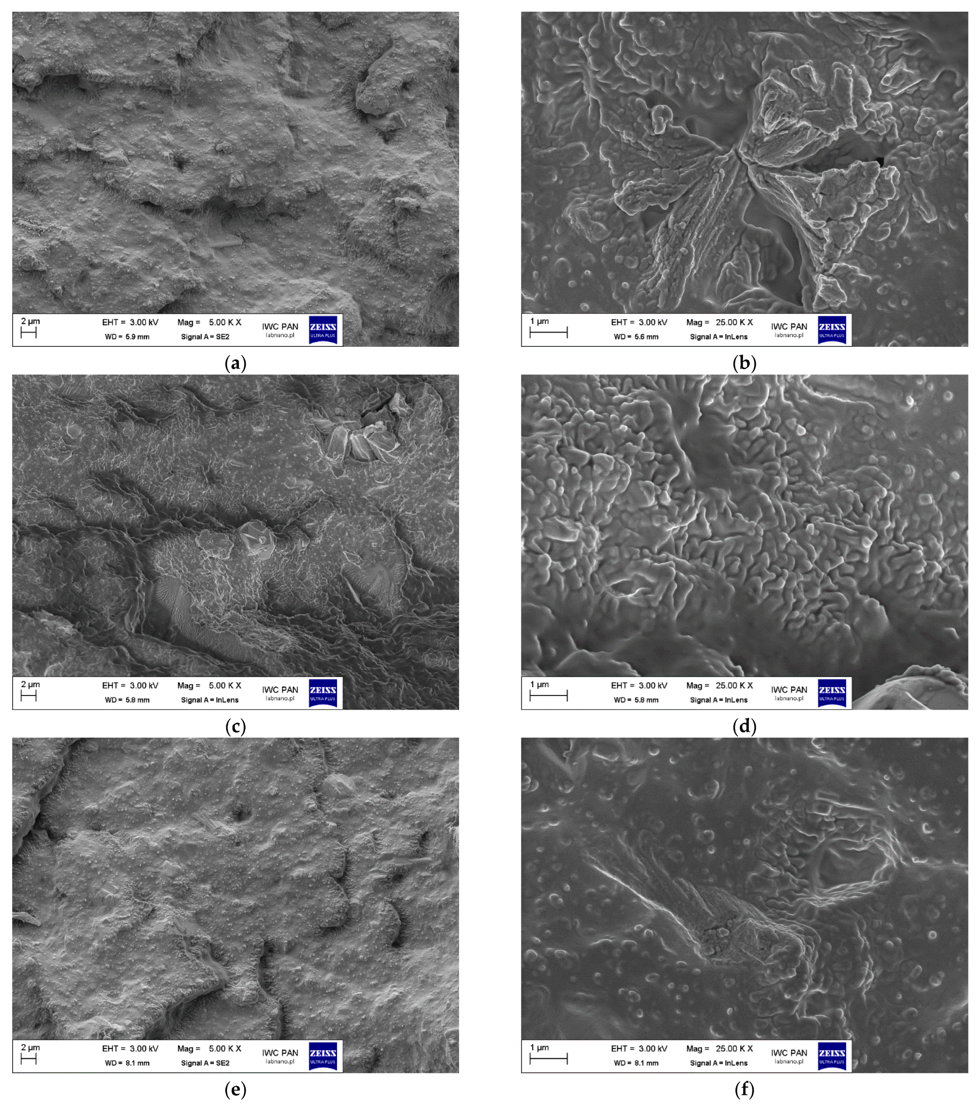 Polymers 17 02875 g008a Polymers 17 02875 g008a