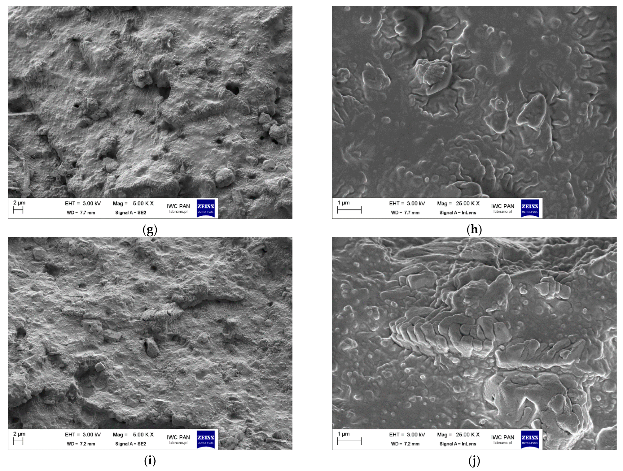 Polymers 17 02875 g008b Polymers 17 02875 g008b