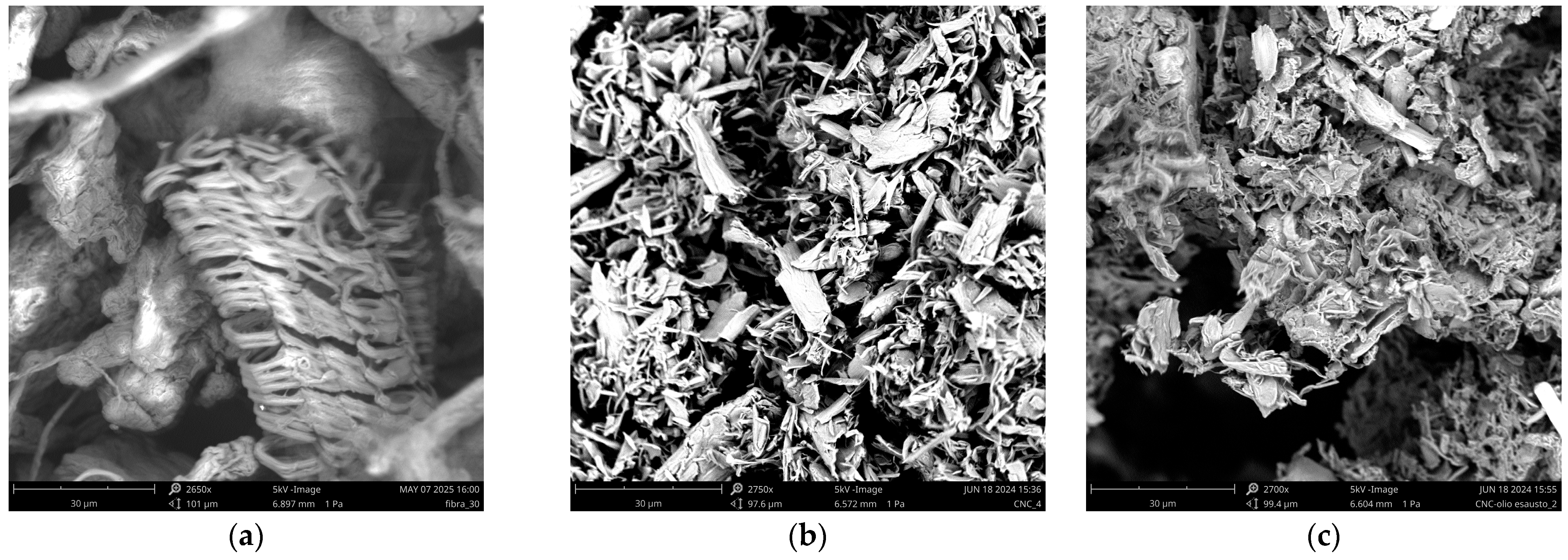 Polymers 17 02877 g003 Polymers 17 02877 g003