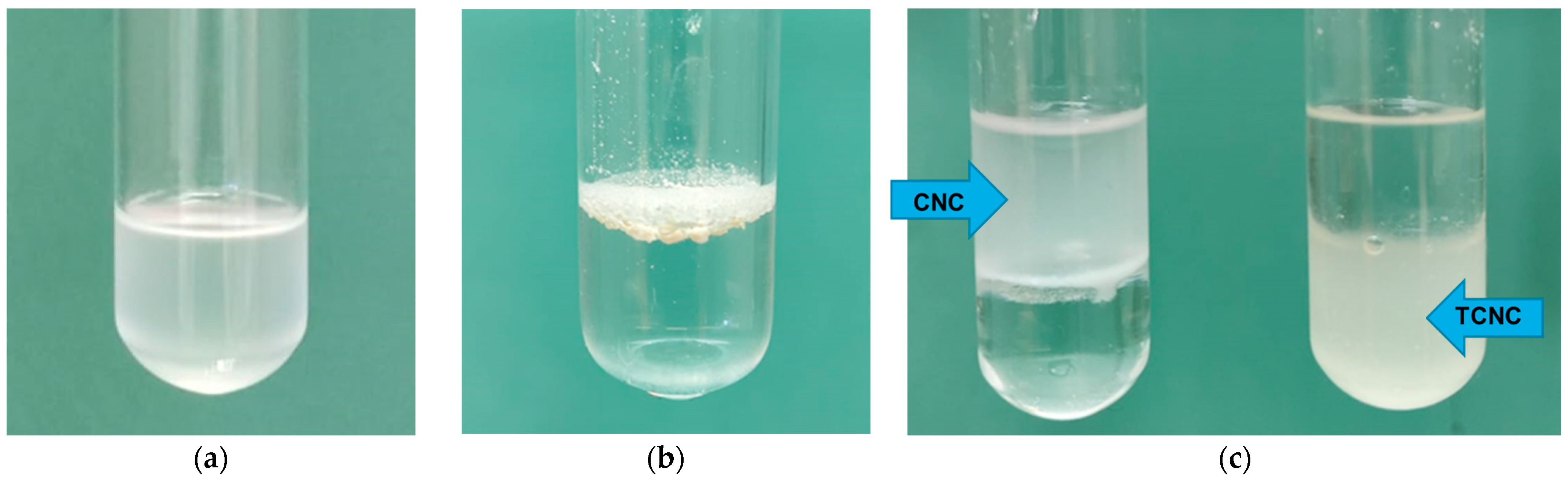 Polymers 17 02877 g004 Polymers 17 02877 g004