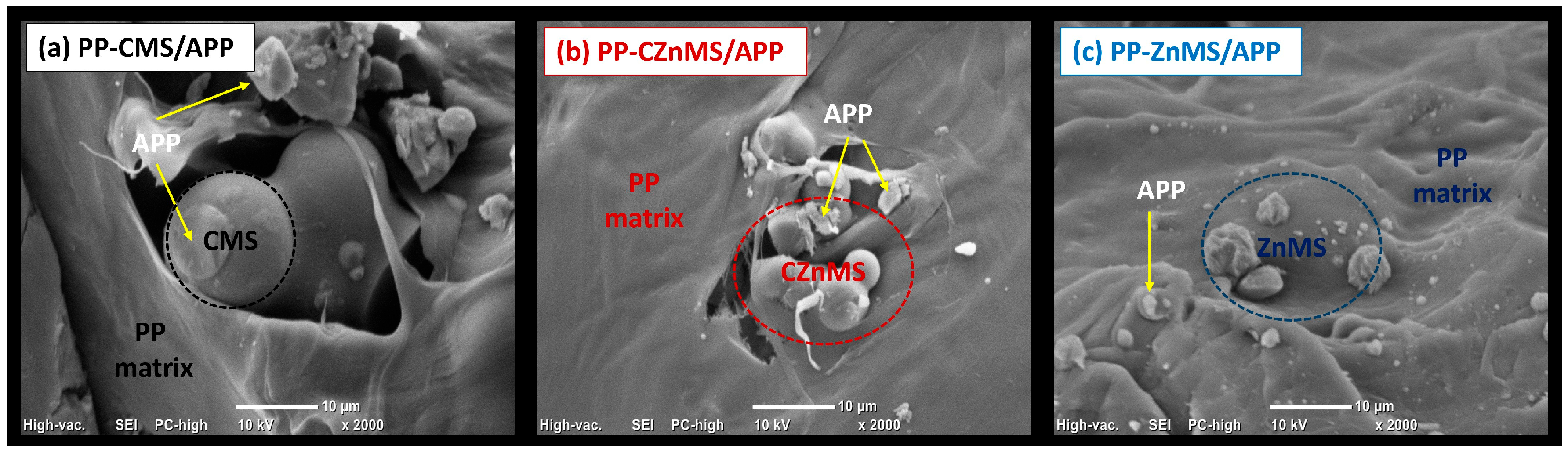 Polymers 17 02878 g011