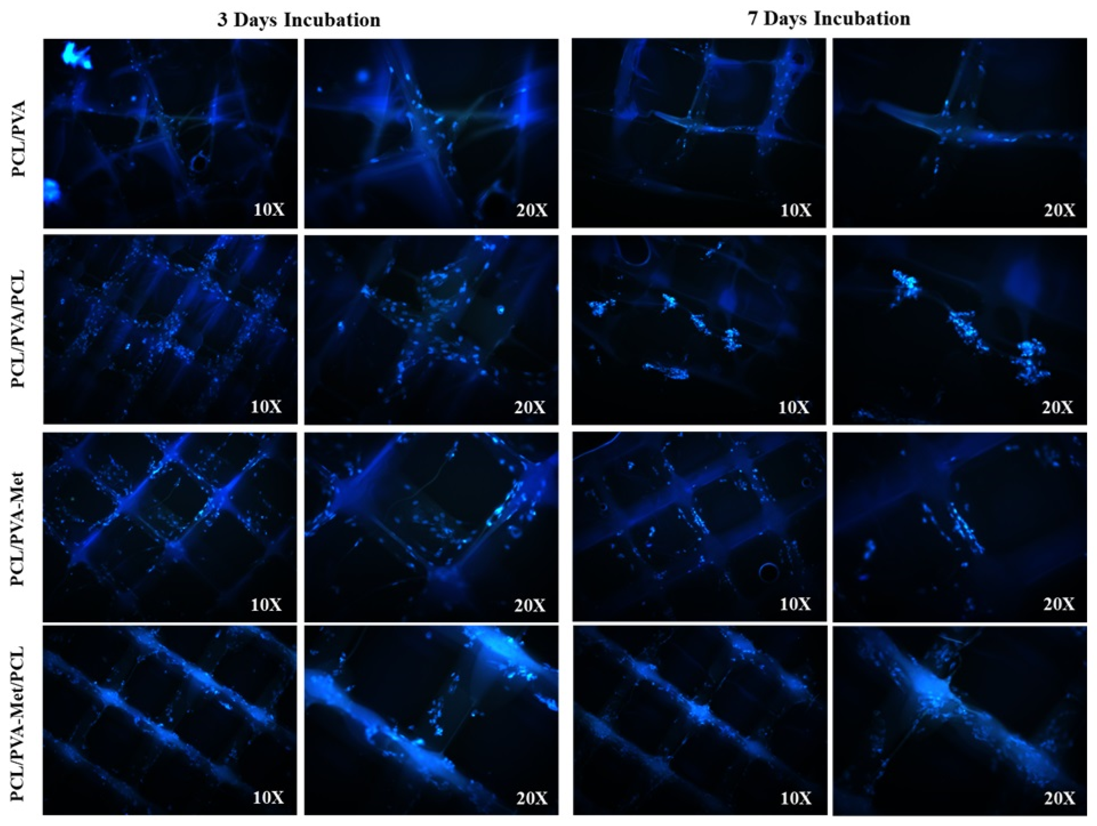 Polymers 17 02880 g009