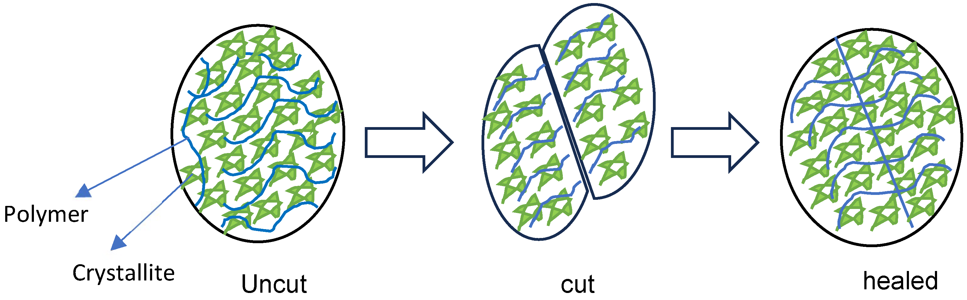 Polymers 17 02883 g001 Polymers 17 02883 g001