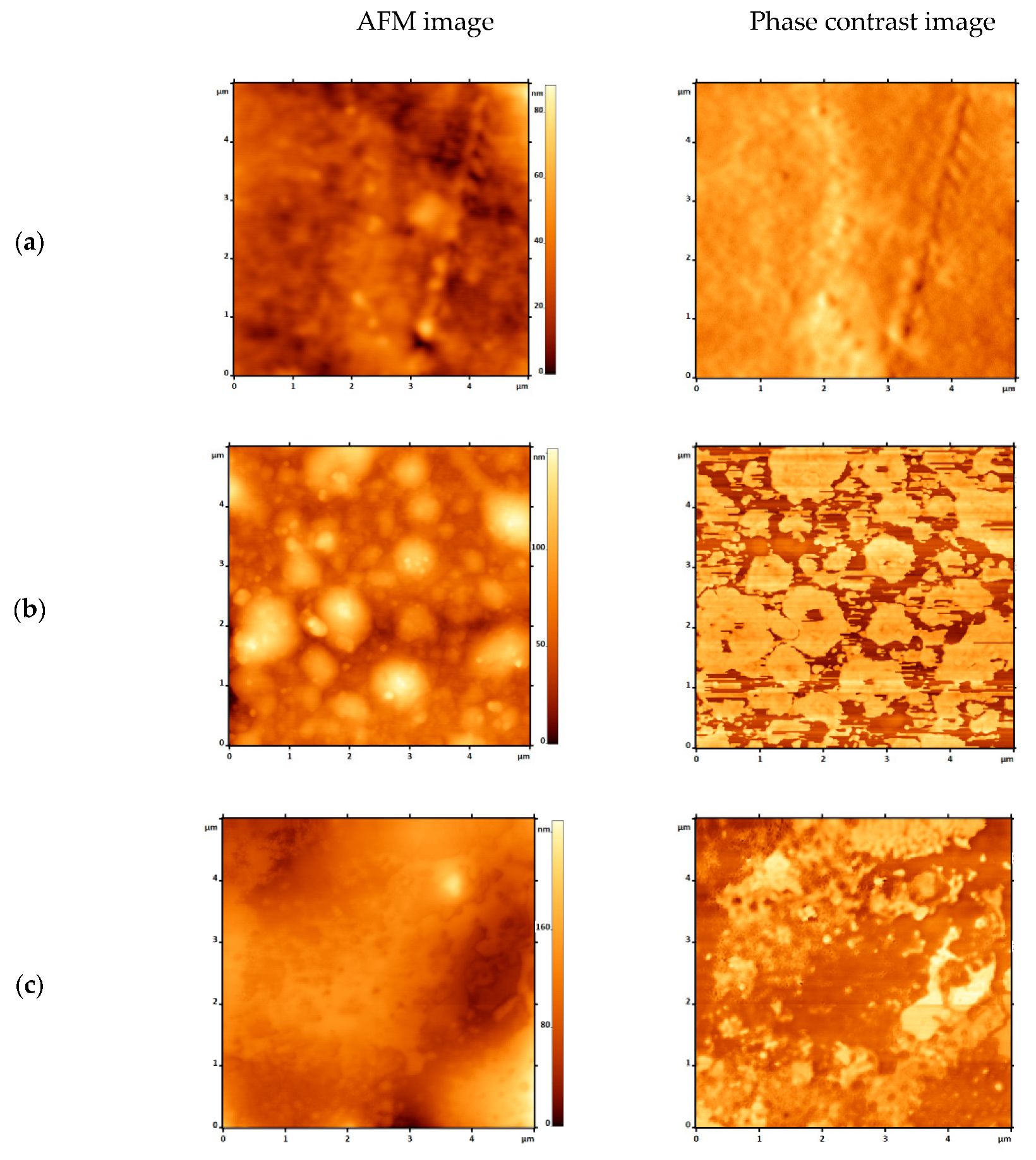 Polymers 17 02885 g007 Polymers 17 02885 g007