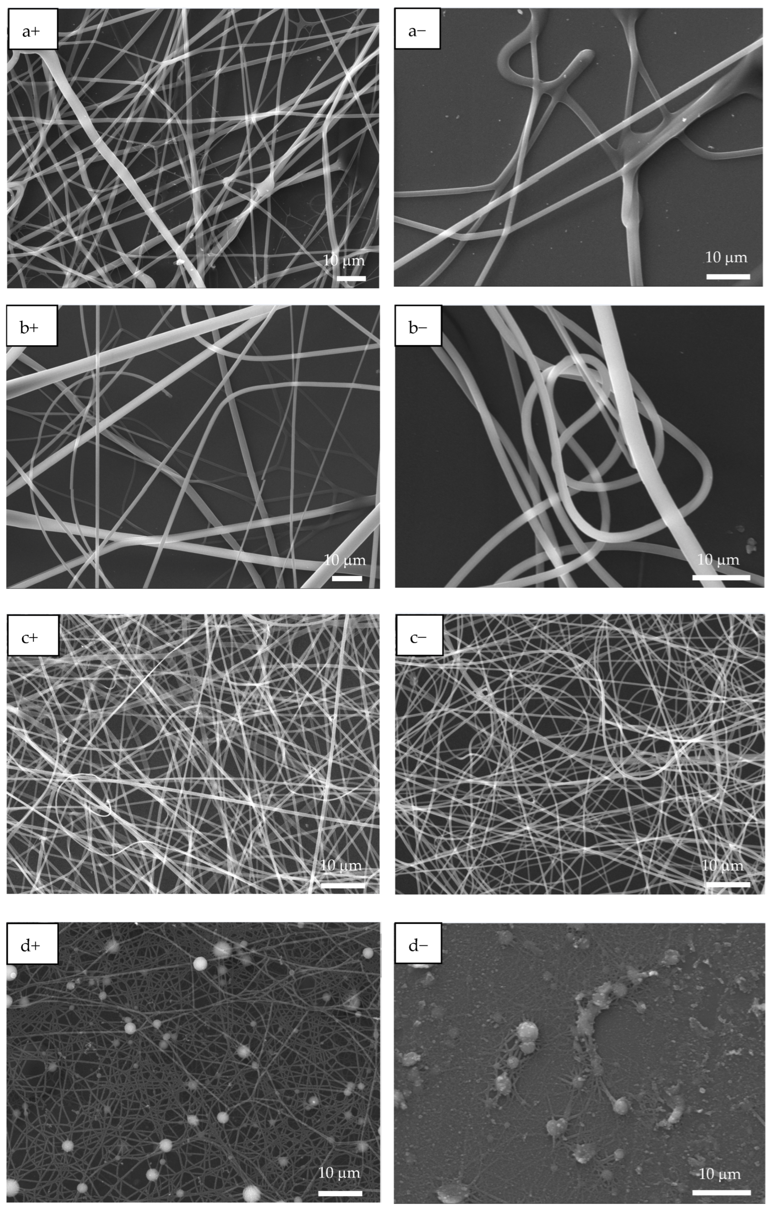 Polymers 17 02888 g003a Polymers 17 02888 g003a