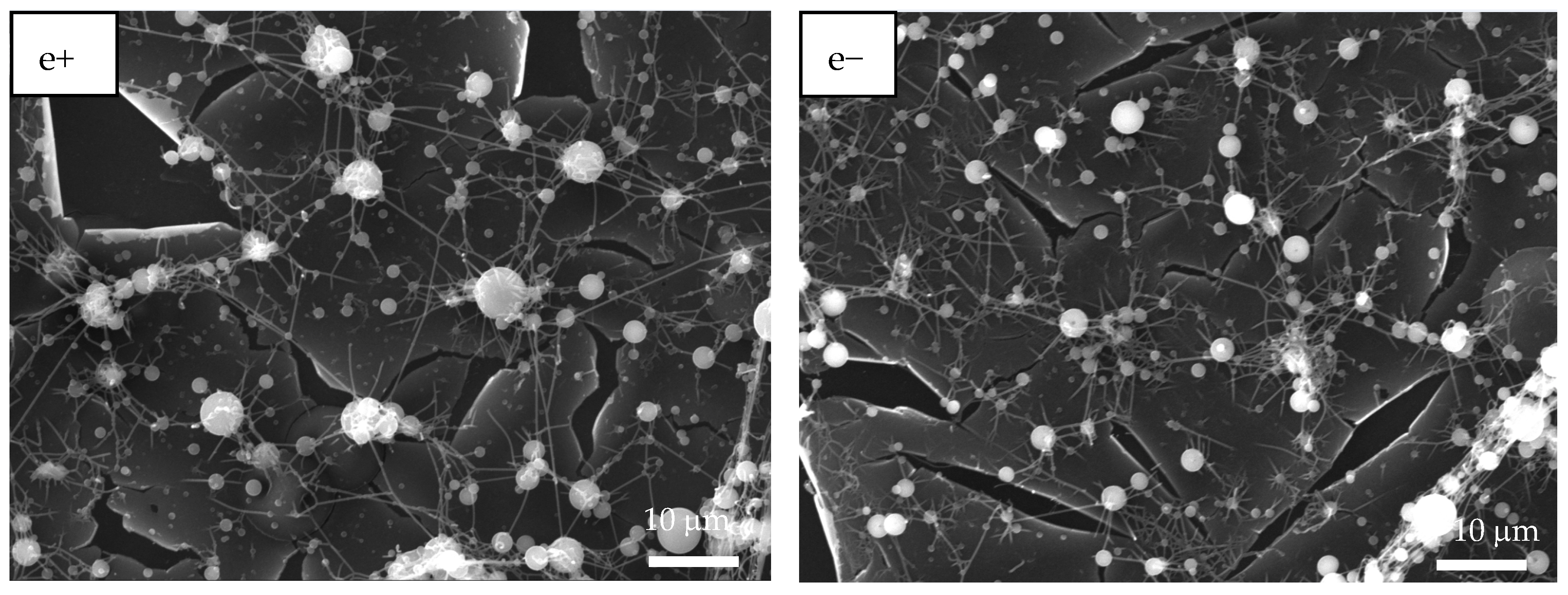 Polymers 17 02888 g003b Polymers 17 02888 g003b