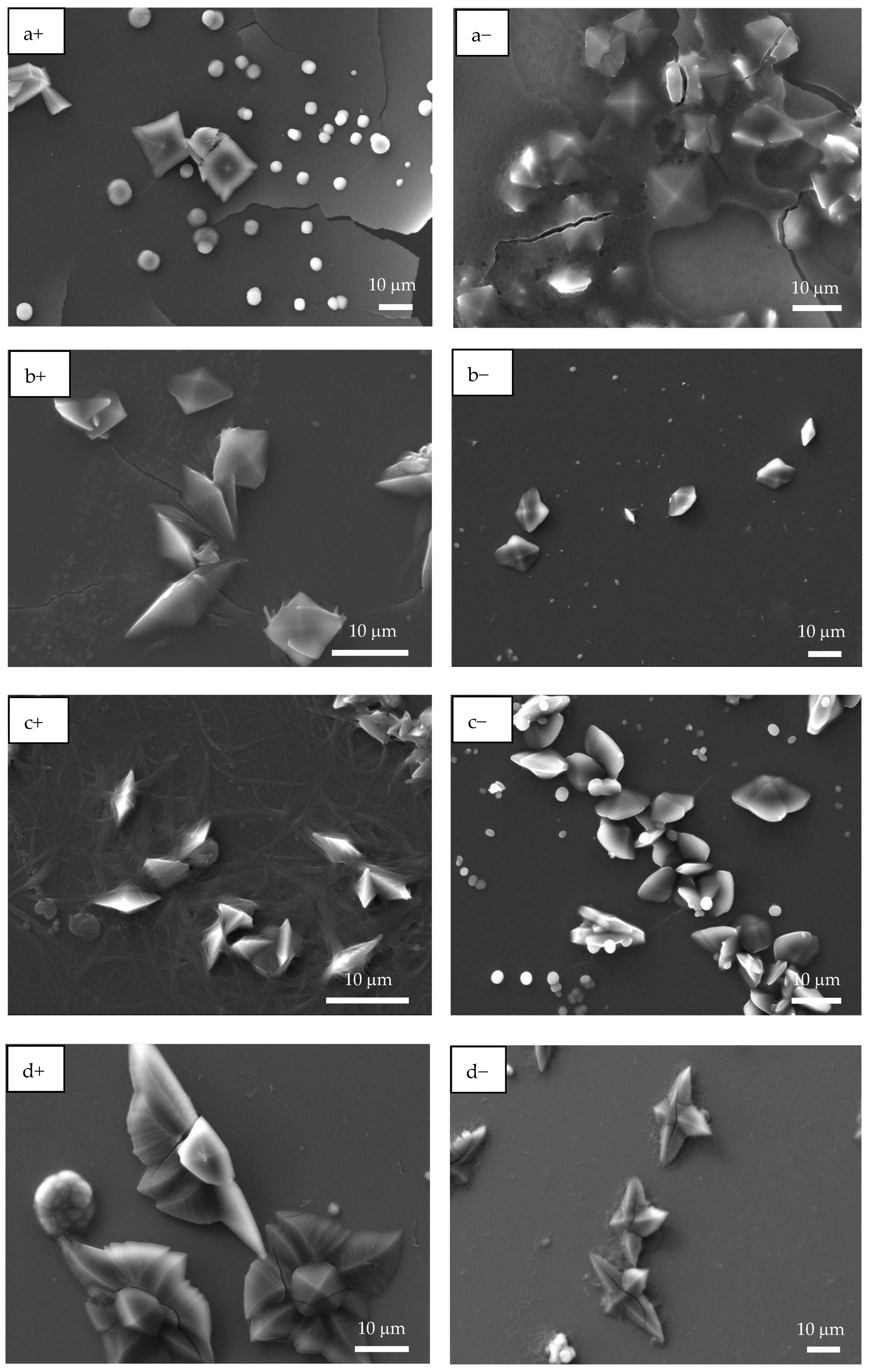Polymers 17 02888 g006a Polymers 17 02888 g006a