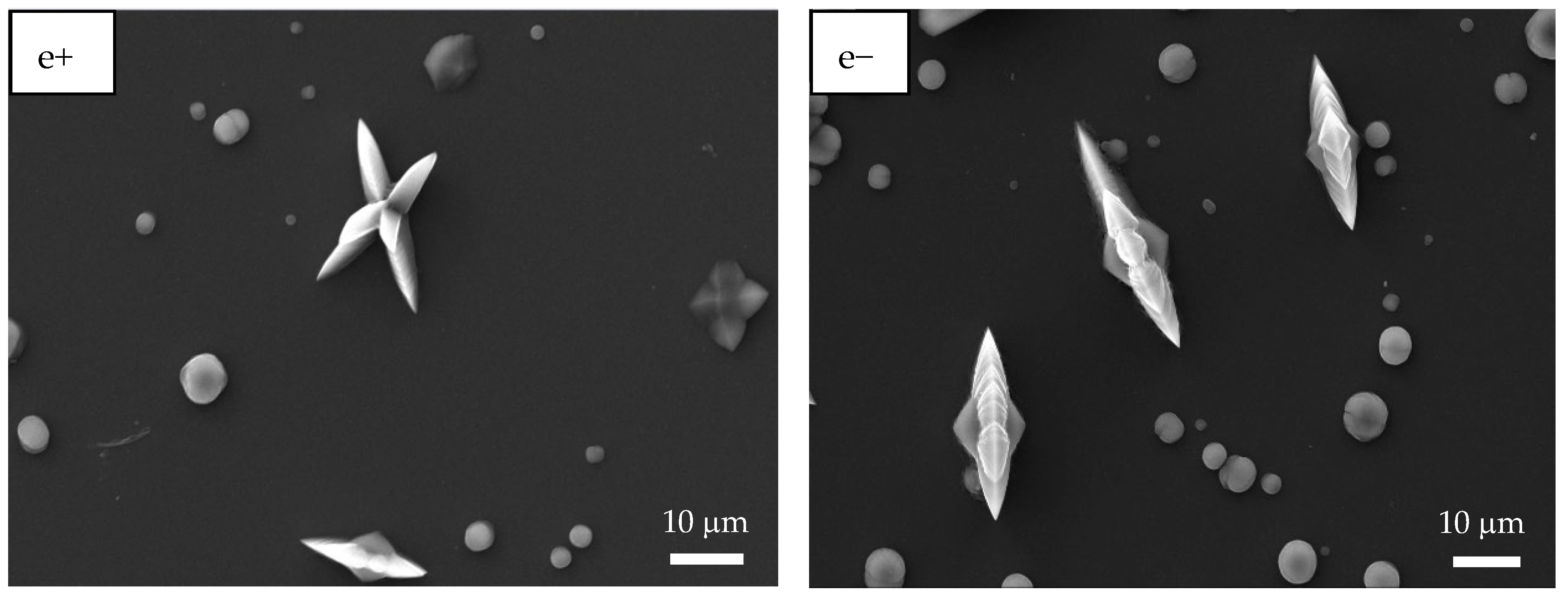 Polymers 17 02888 g006b Polymers 17 02888 g006b