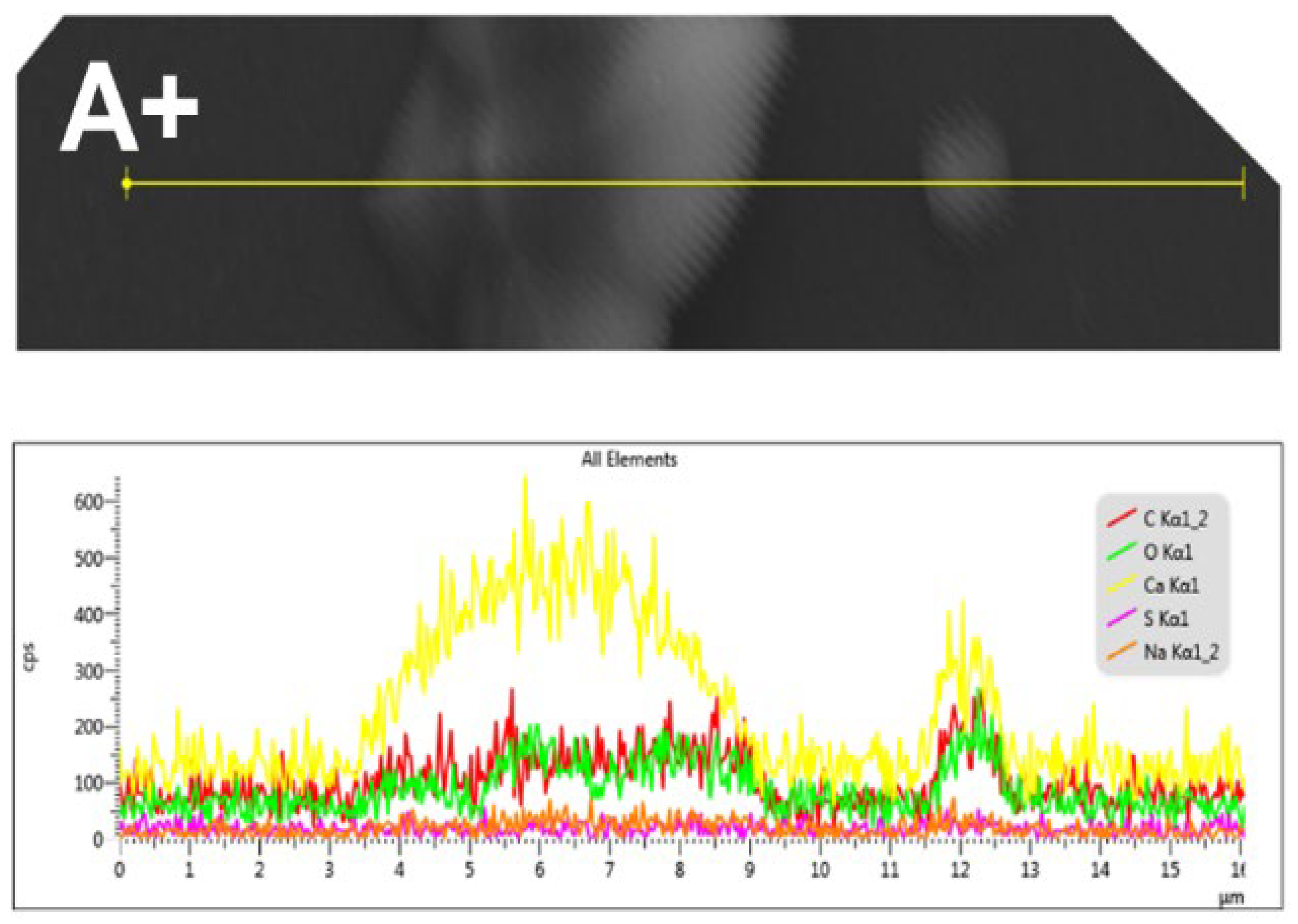 Polymers 17 02888 g007 Polymers 17 02888 g007