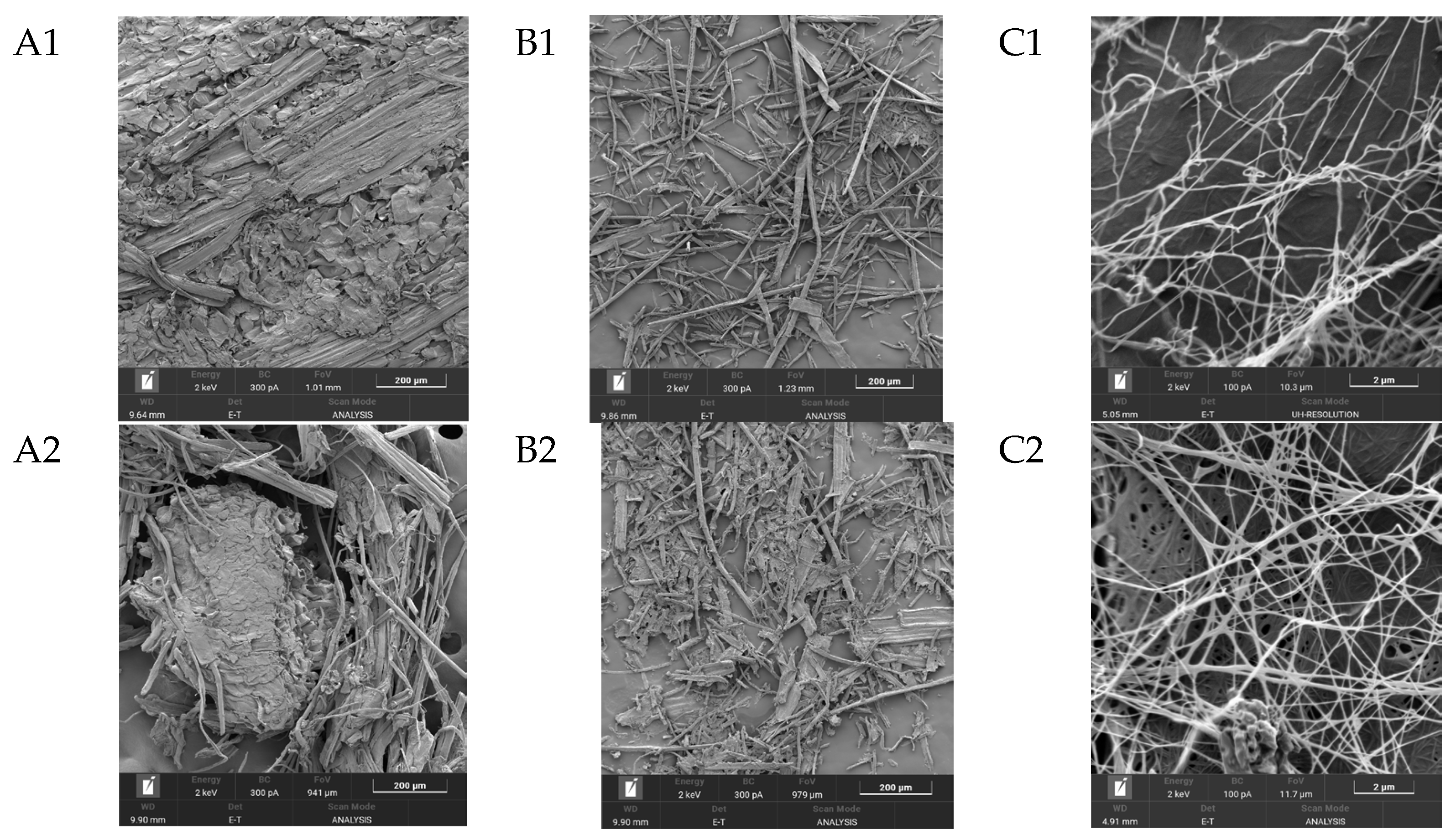 Polymers 17 02890 g005a Polymers 17 02890 g005a