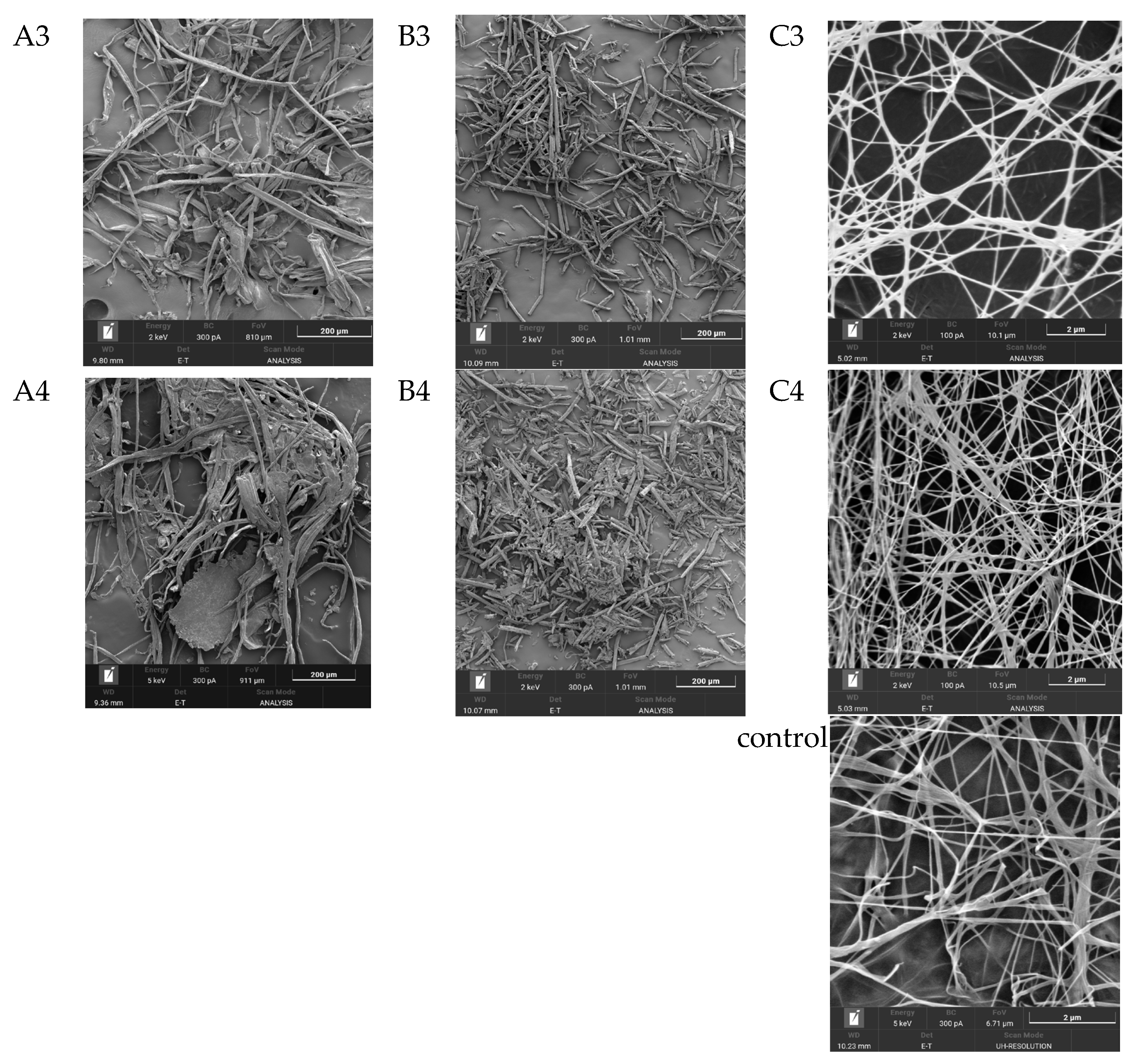 Polymers 17 02890 g005b Polymers 17 02890 g005b