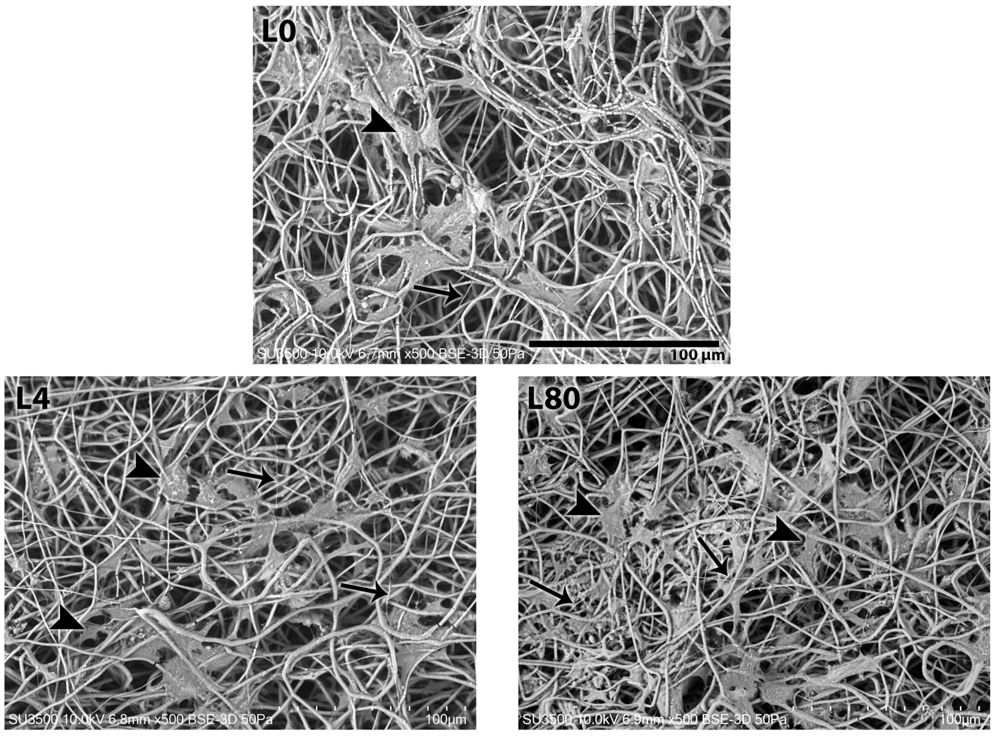 Polymers 17 02900 g007a