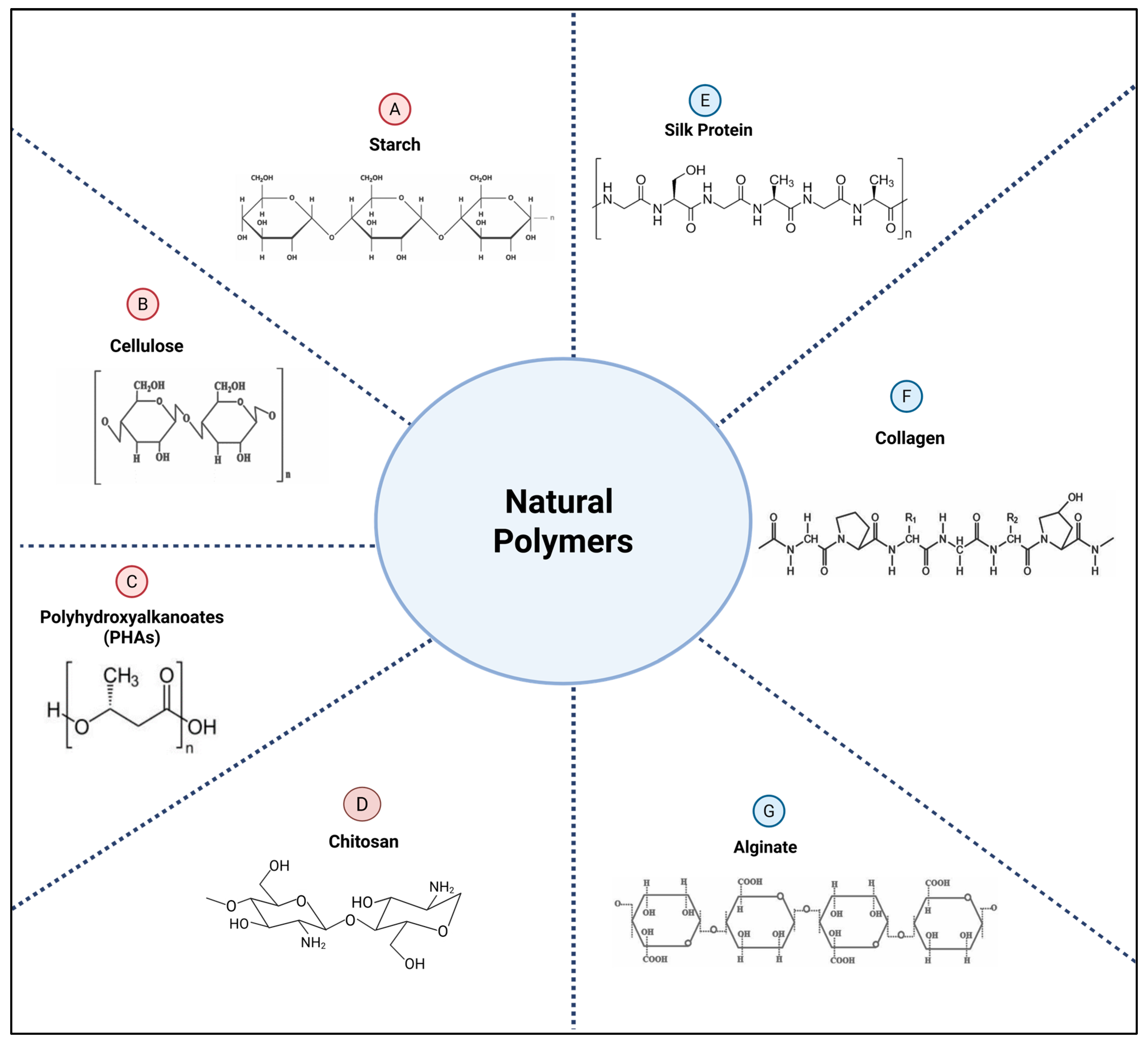 Polymers 17 02901 g001