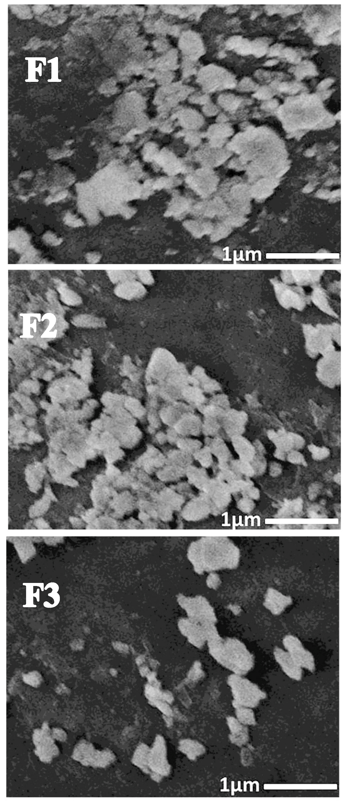 Polymers 17 02902 g003 Polymers 17 02902 g003