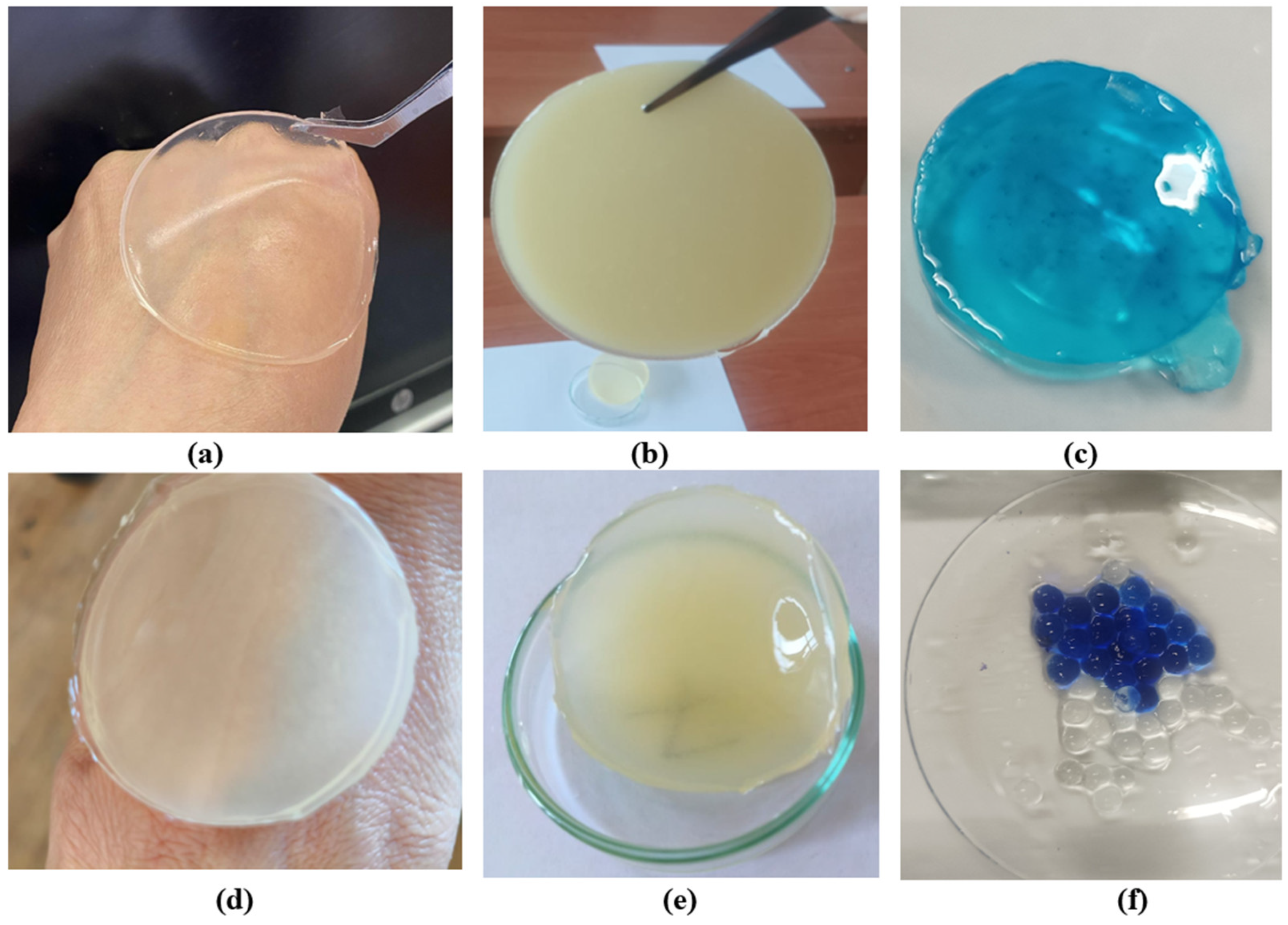 Polymers 17 02908 g001