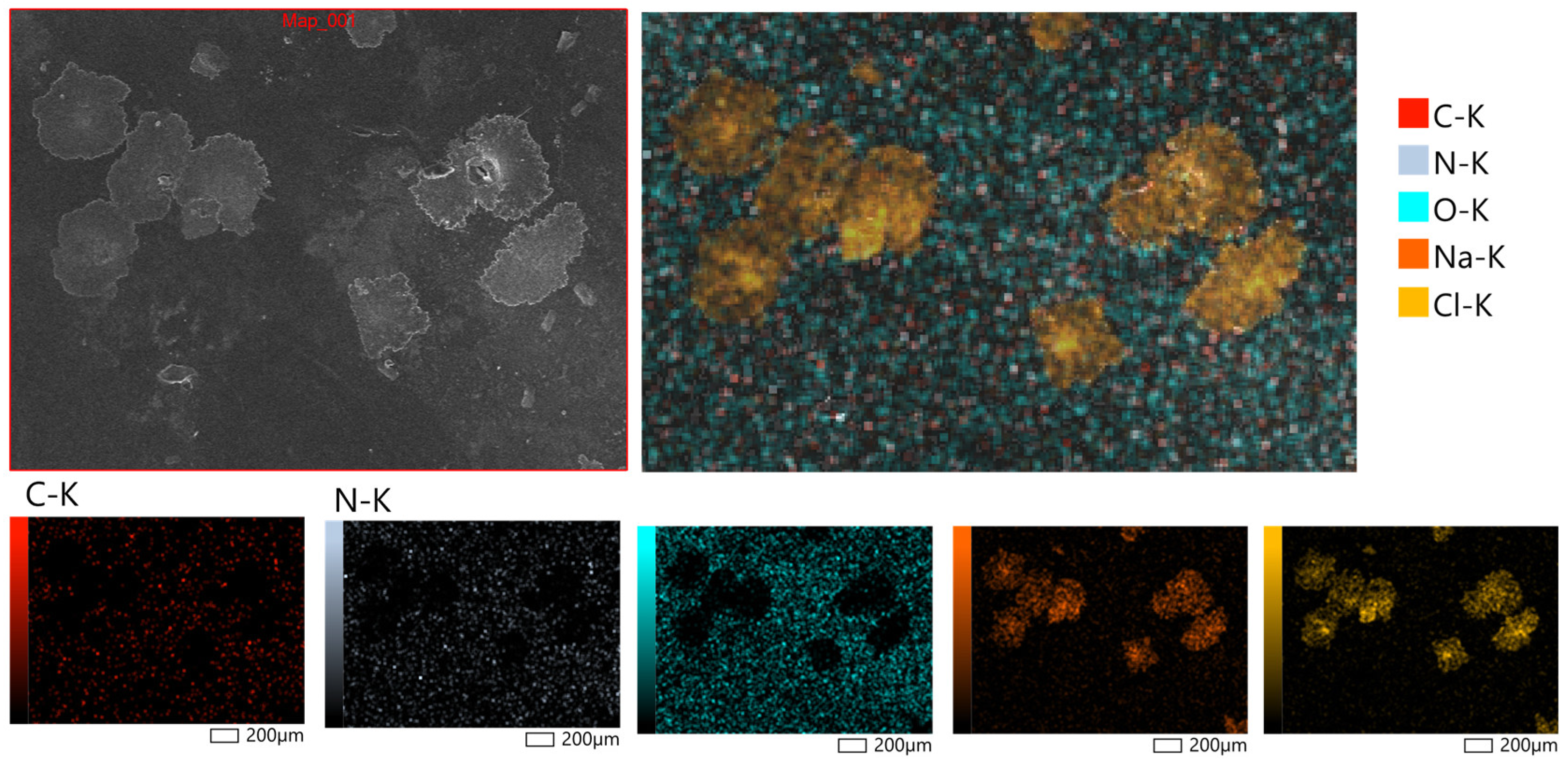 Polymers 17 02908 g006