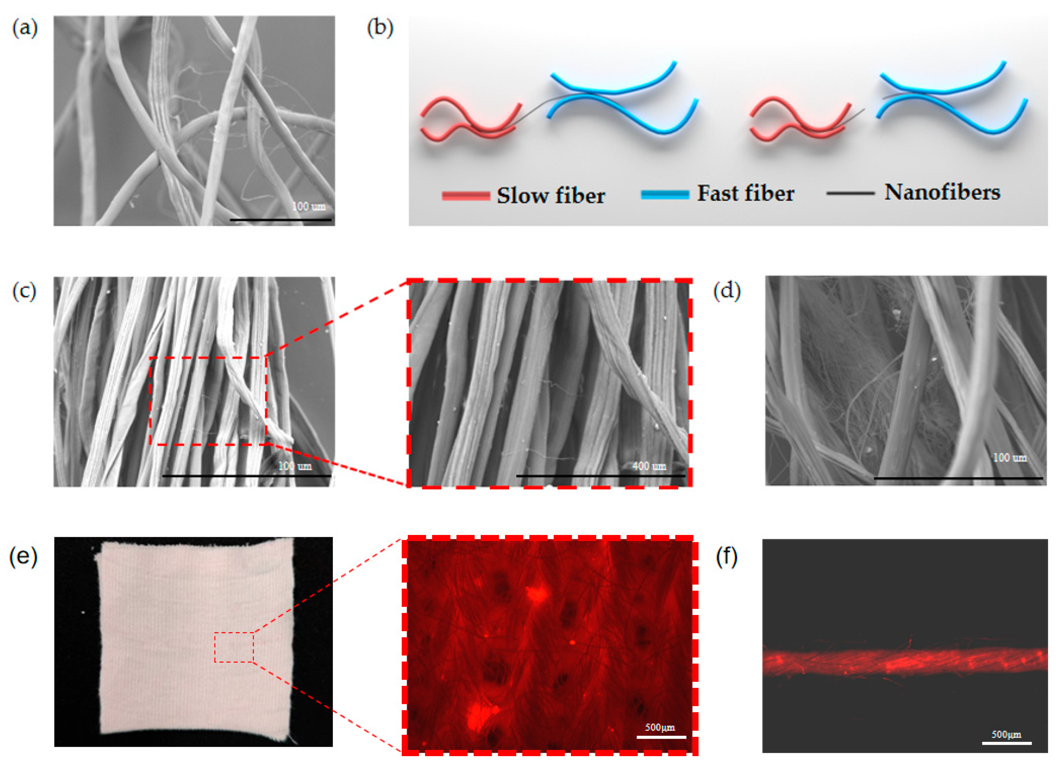 Polymers 17 02915 g002