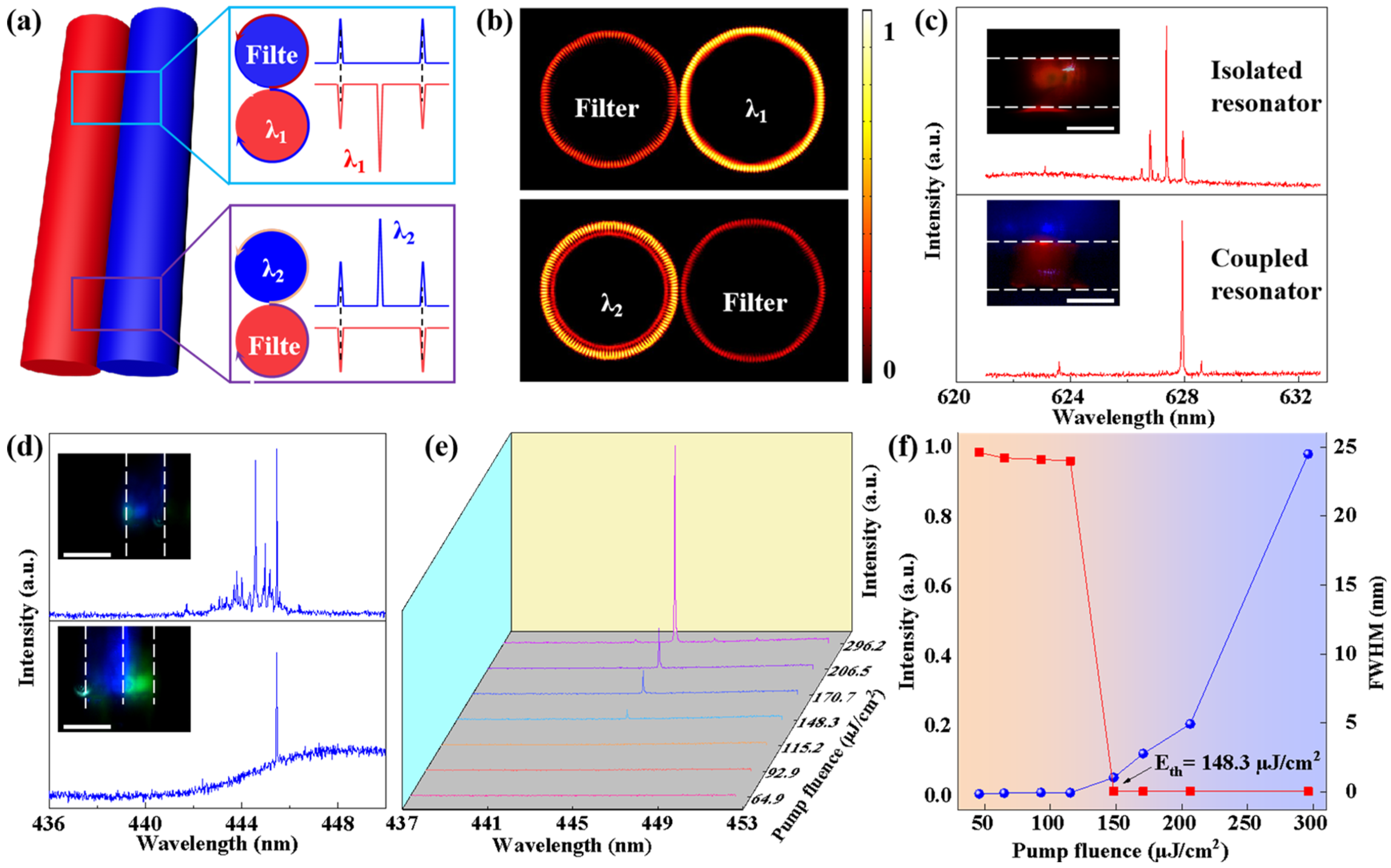 Polymers 17 02917 g004