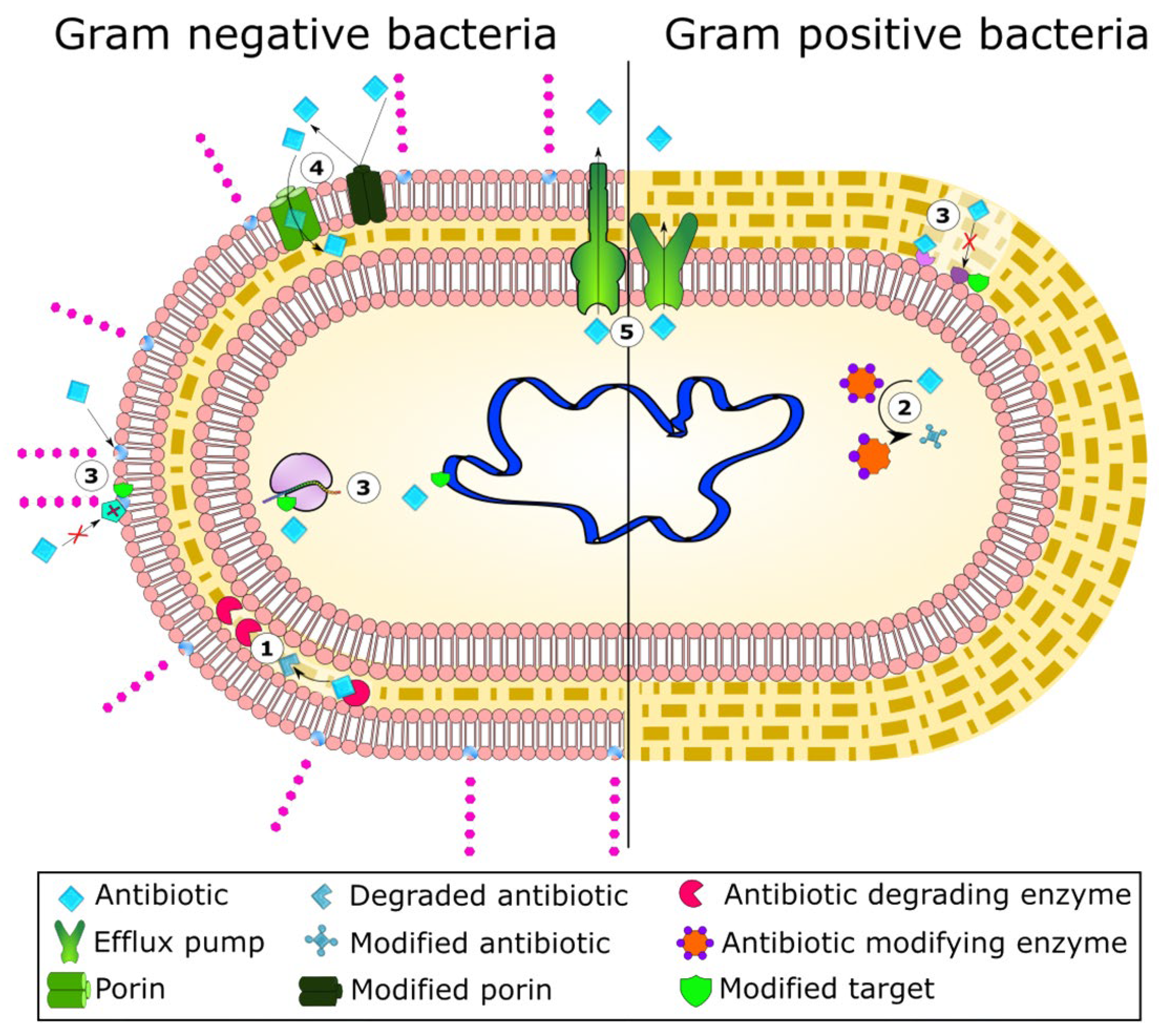 Polymers 17 02924 g001