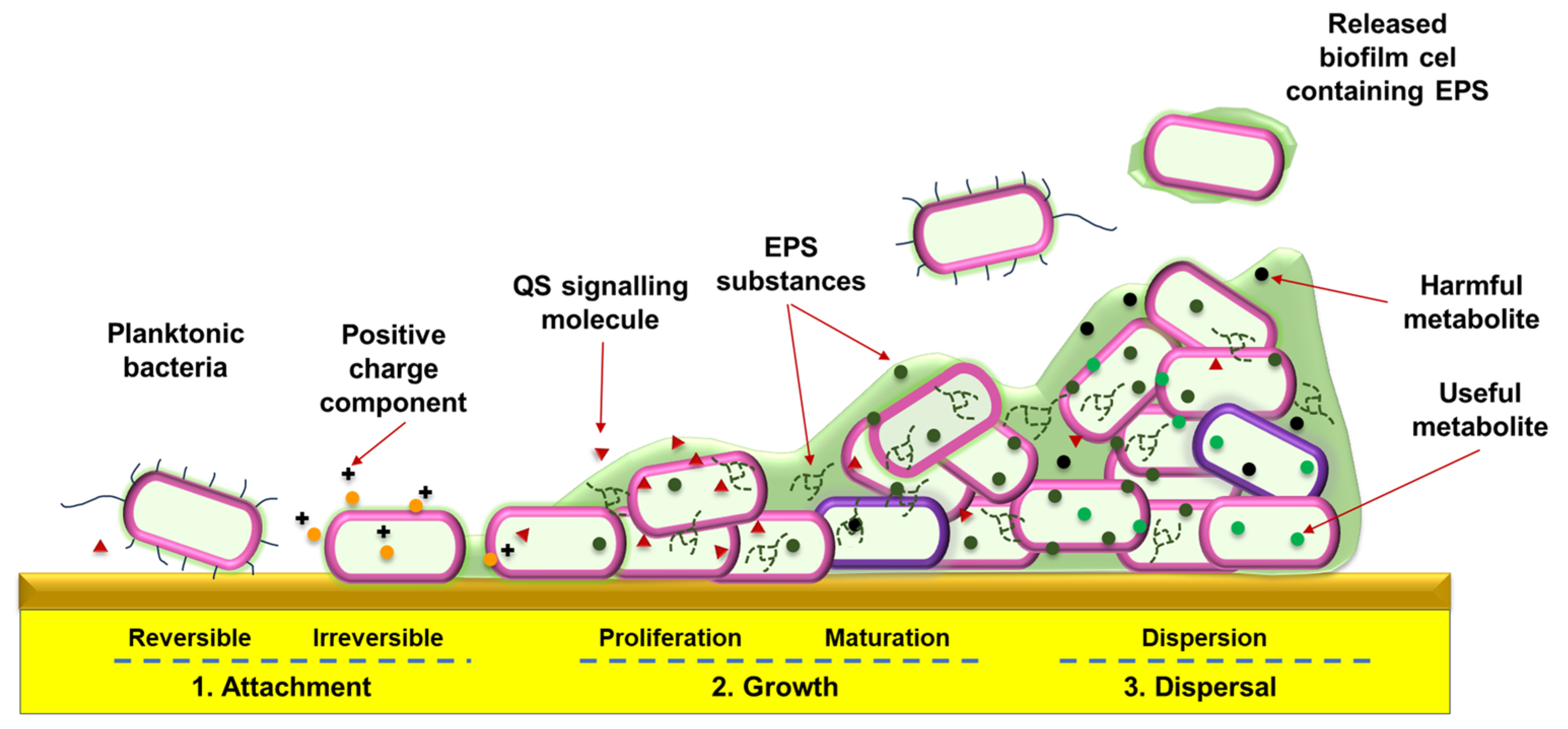 Polymers 17 02924 g002