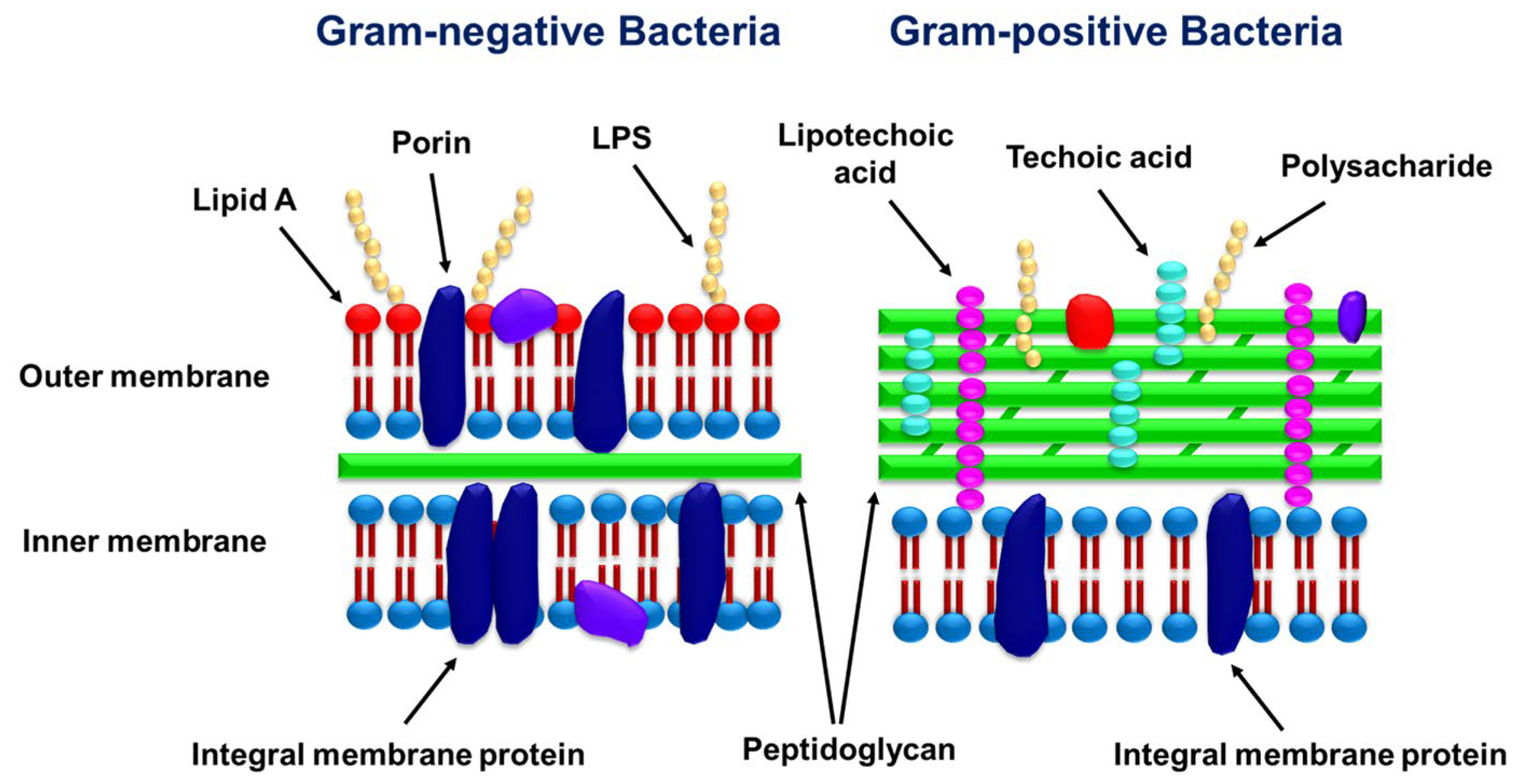 Polymers 17 02924 g004
