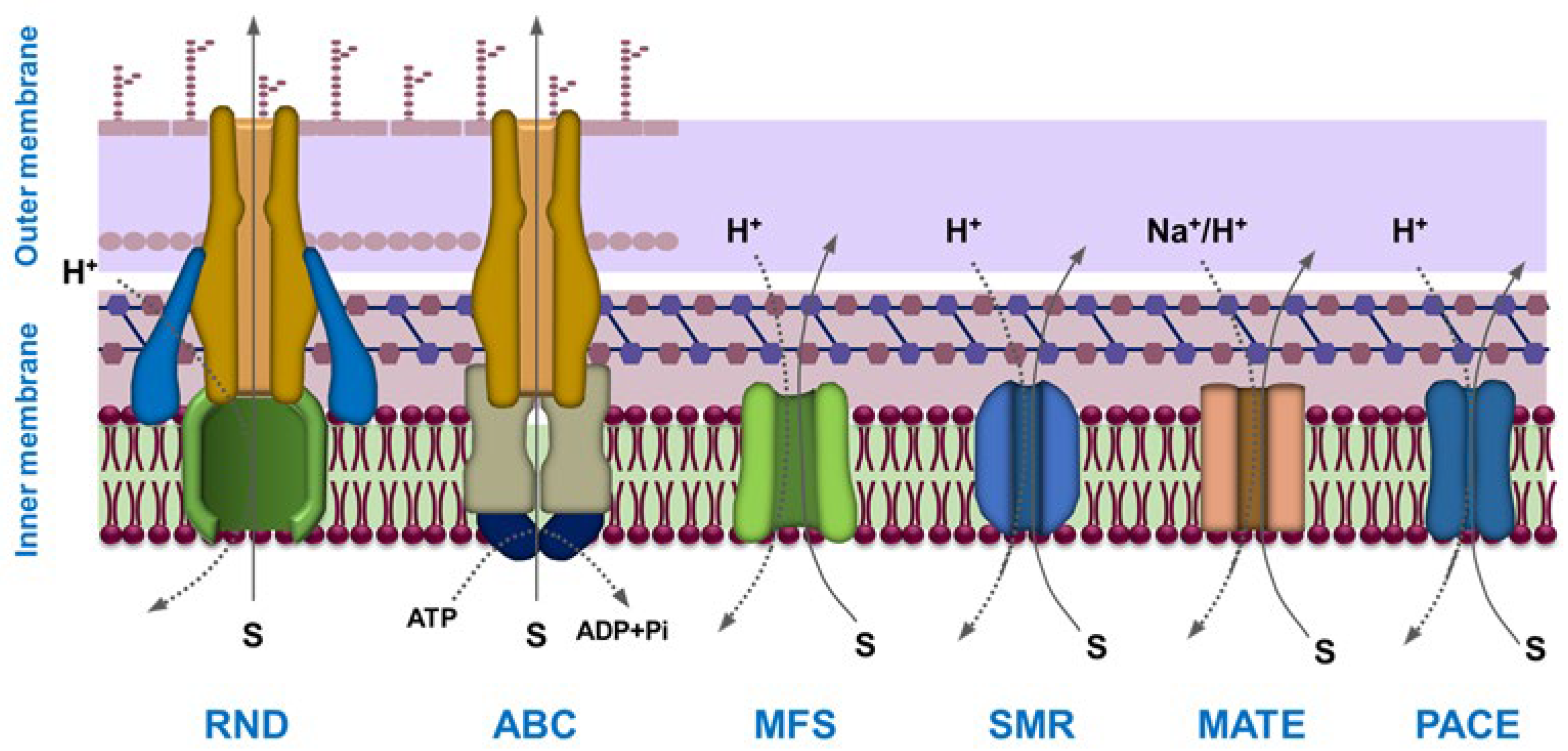 Polymers 17 02924 g005