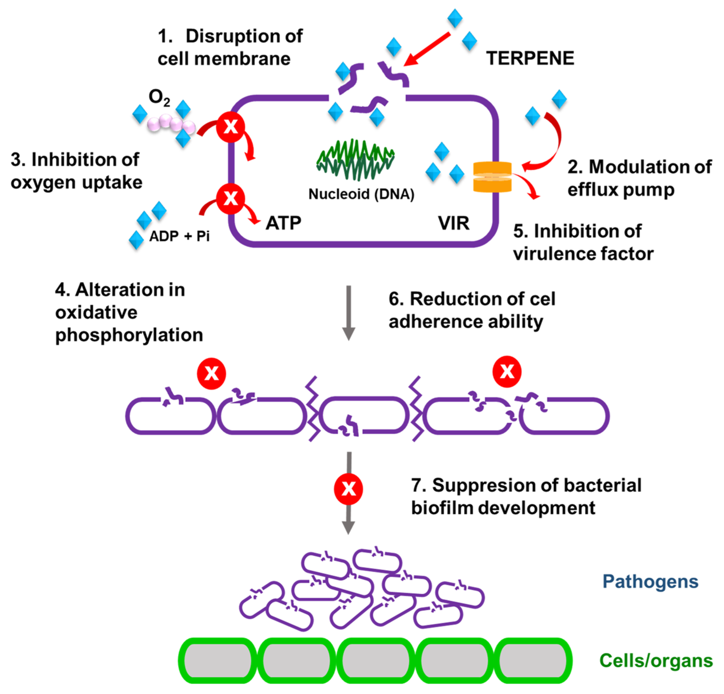 Polymers 17 02924 g007
