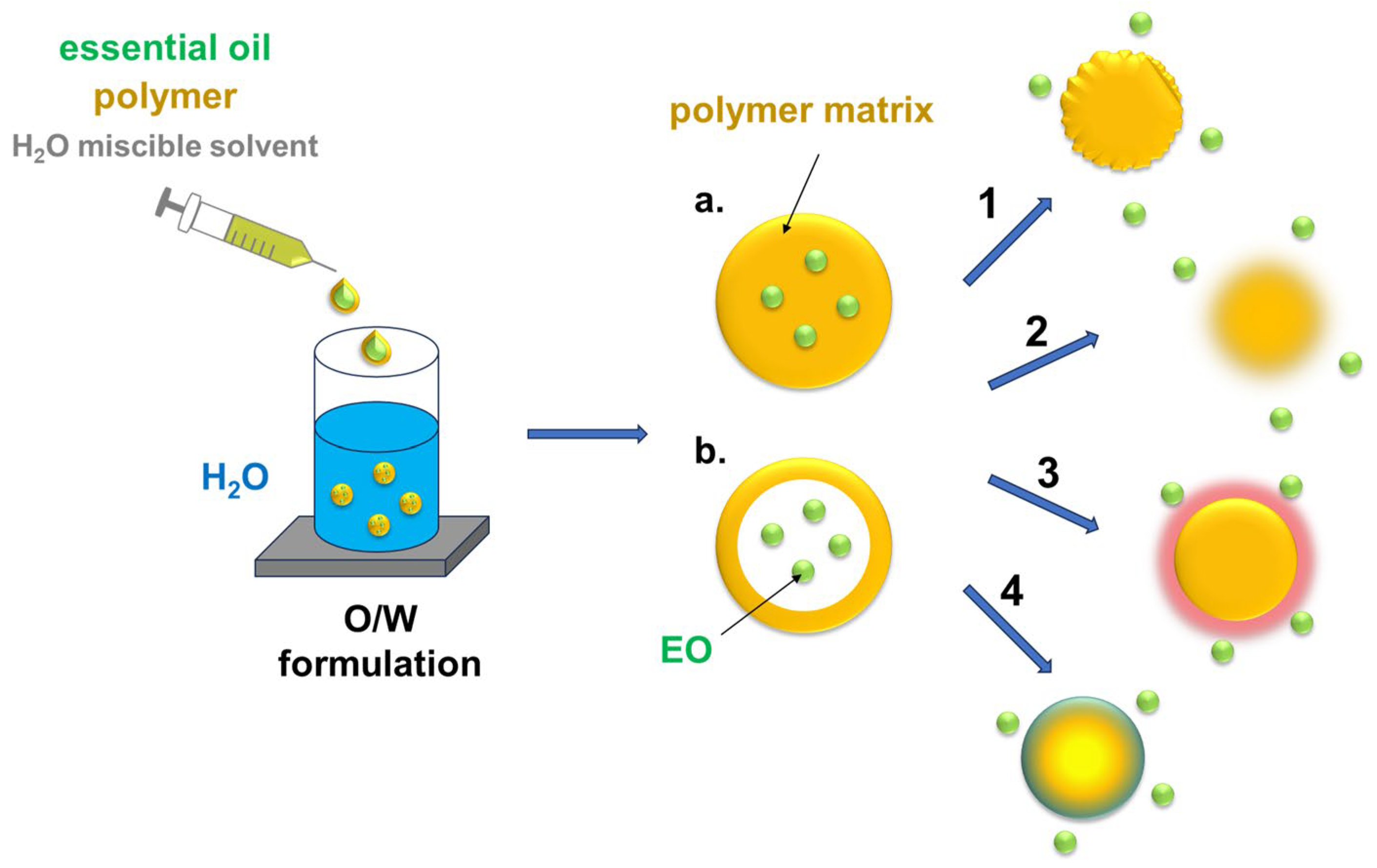 Polymers 17 02924 g008
