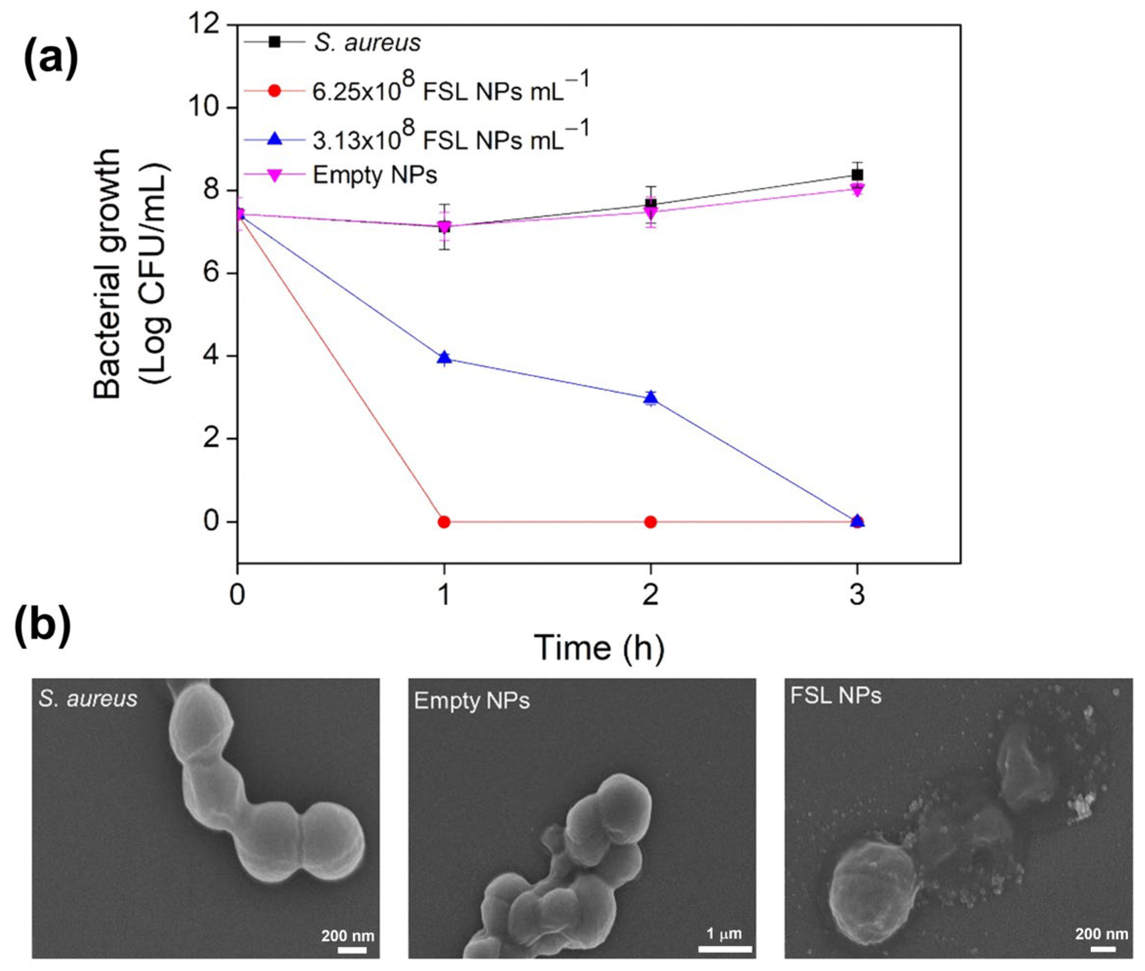 Polymers 17 02924 g009