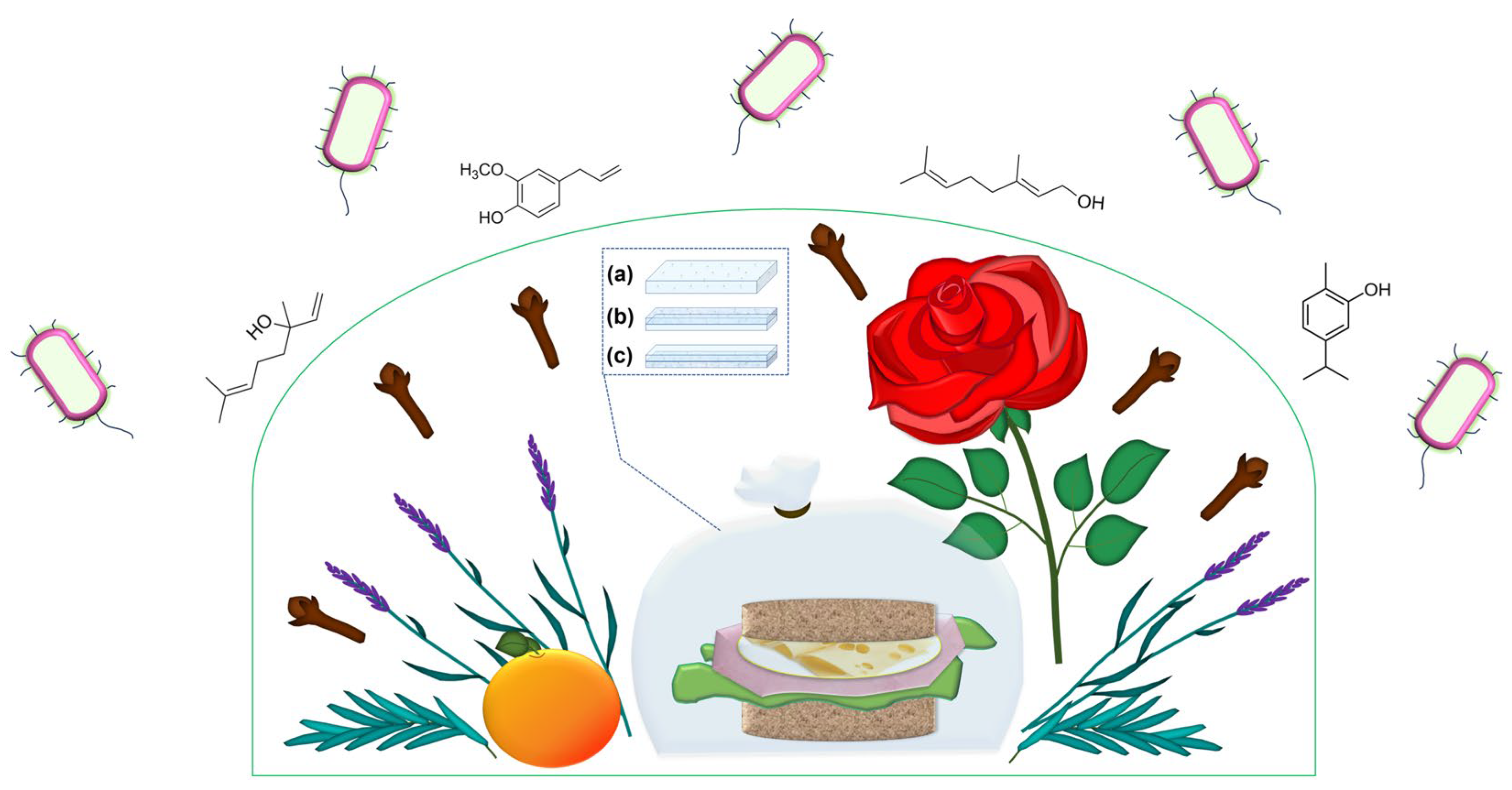 Polymers 17 02924 g015
