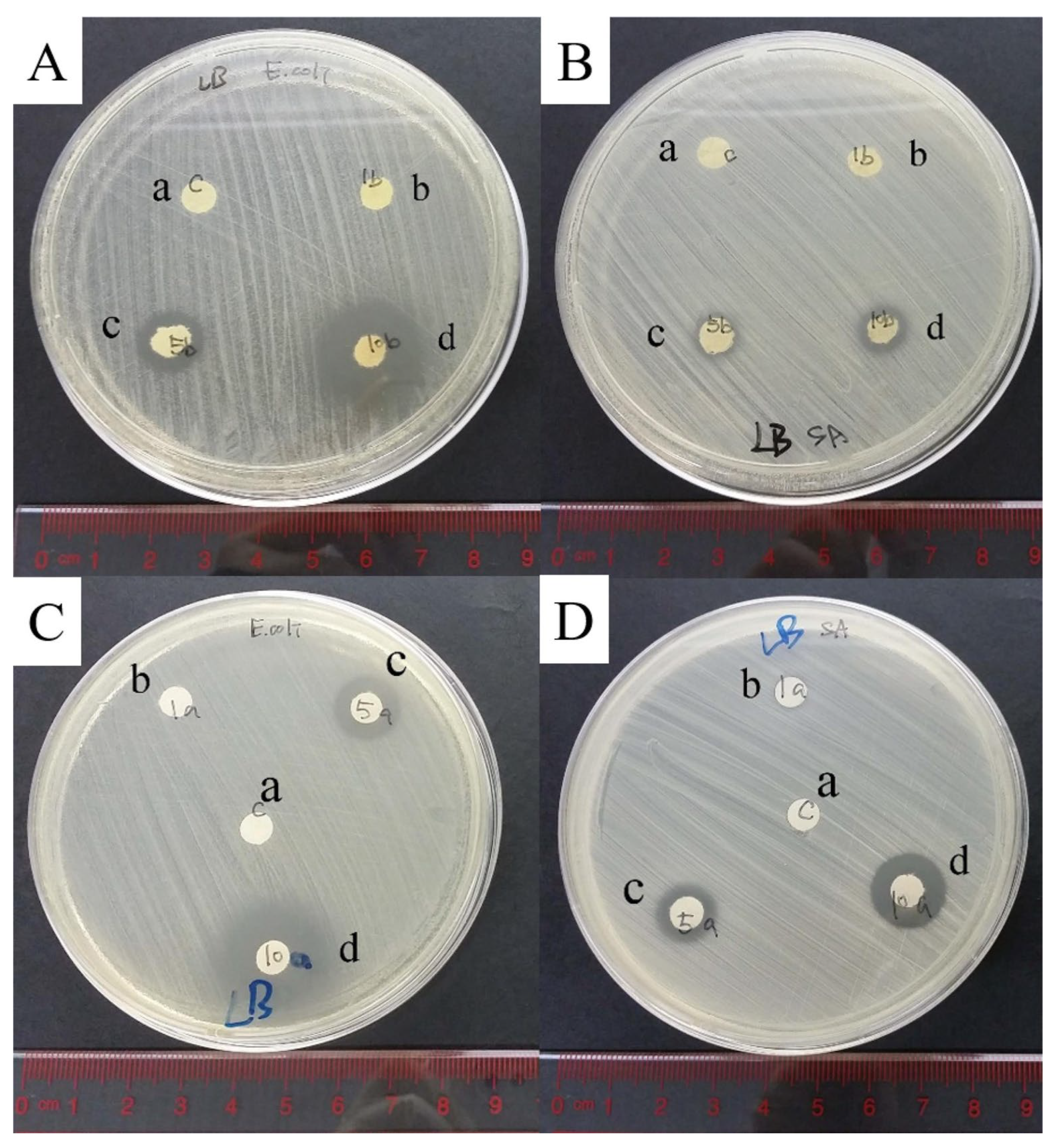 Polymers 17 02924 g017